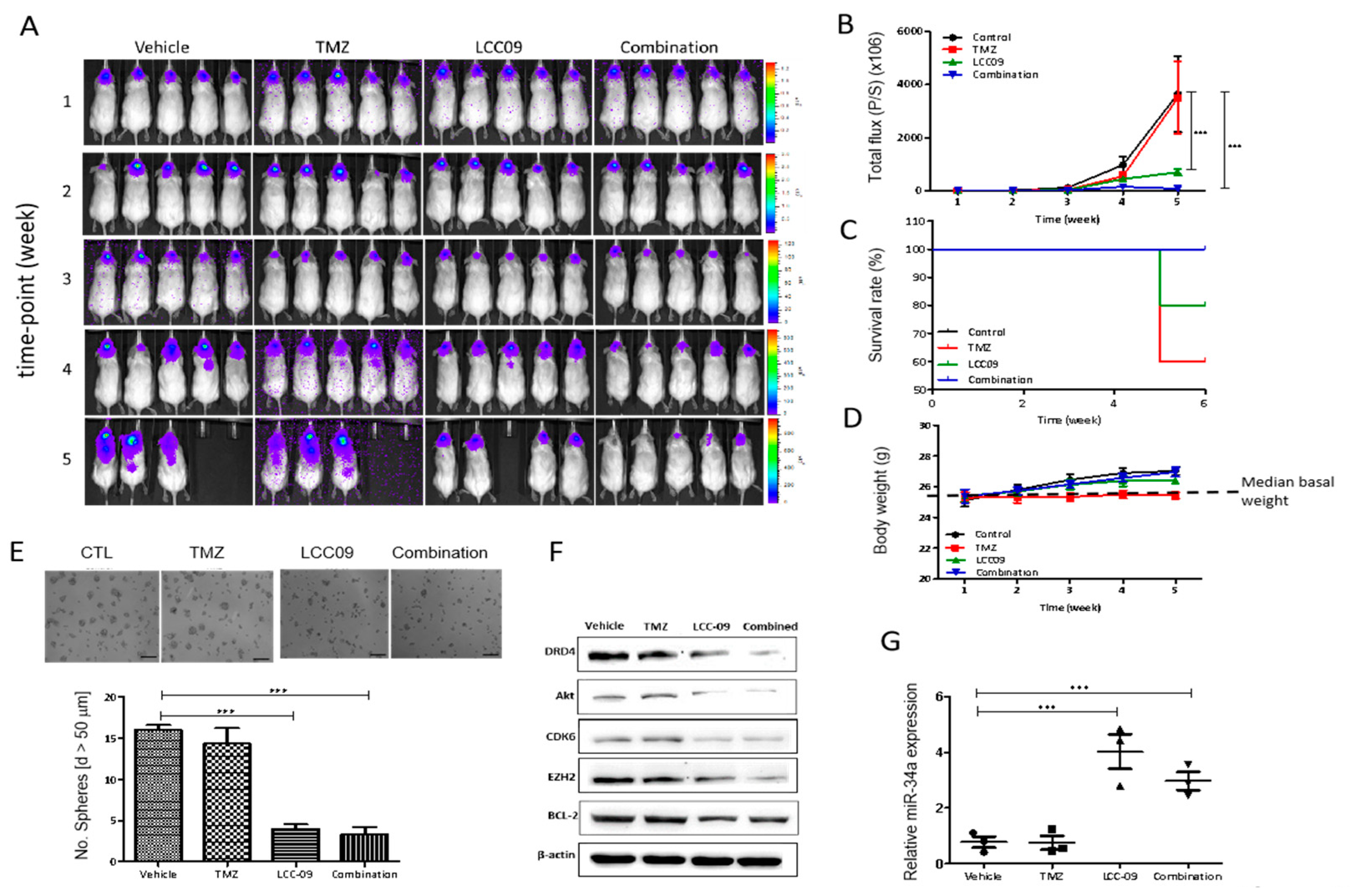 Cancers 11 01442 g007 Cancers 11 01442 g007
