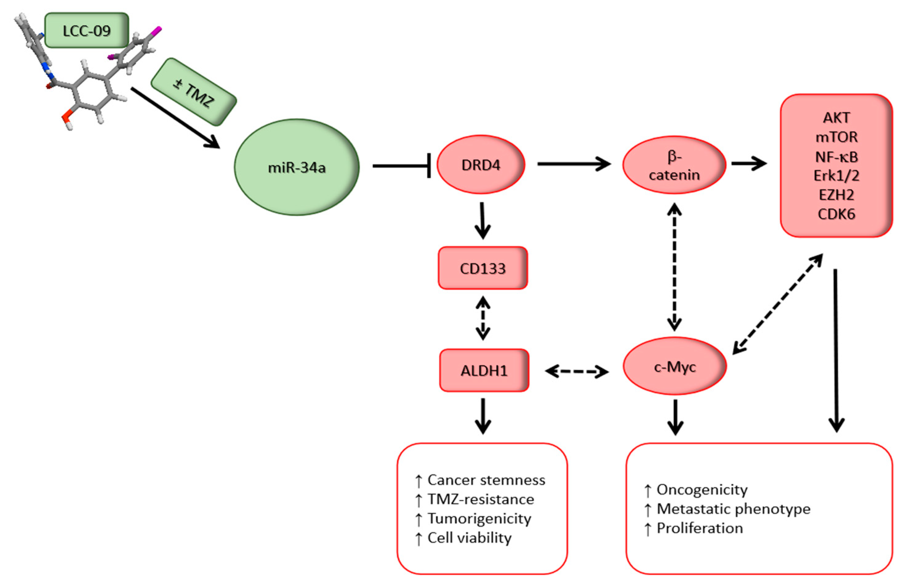 Cancers 11 01442 g008 Cancers 11 01442 g008