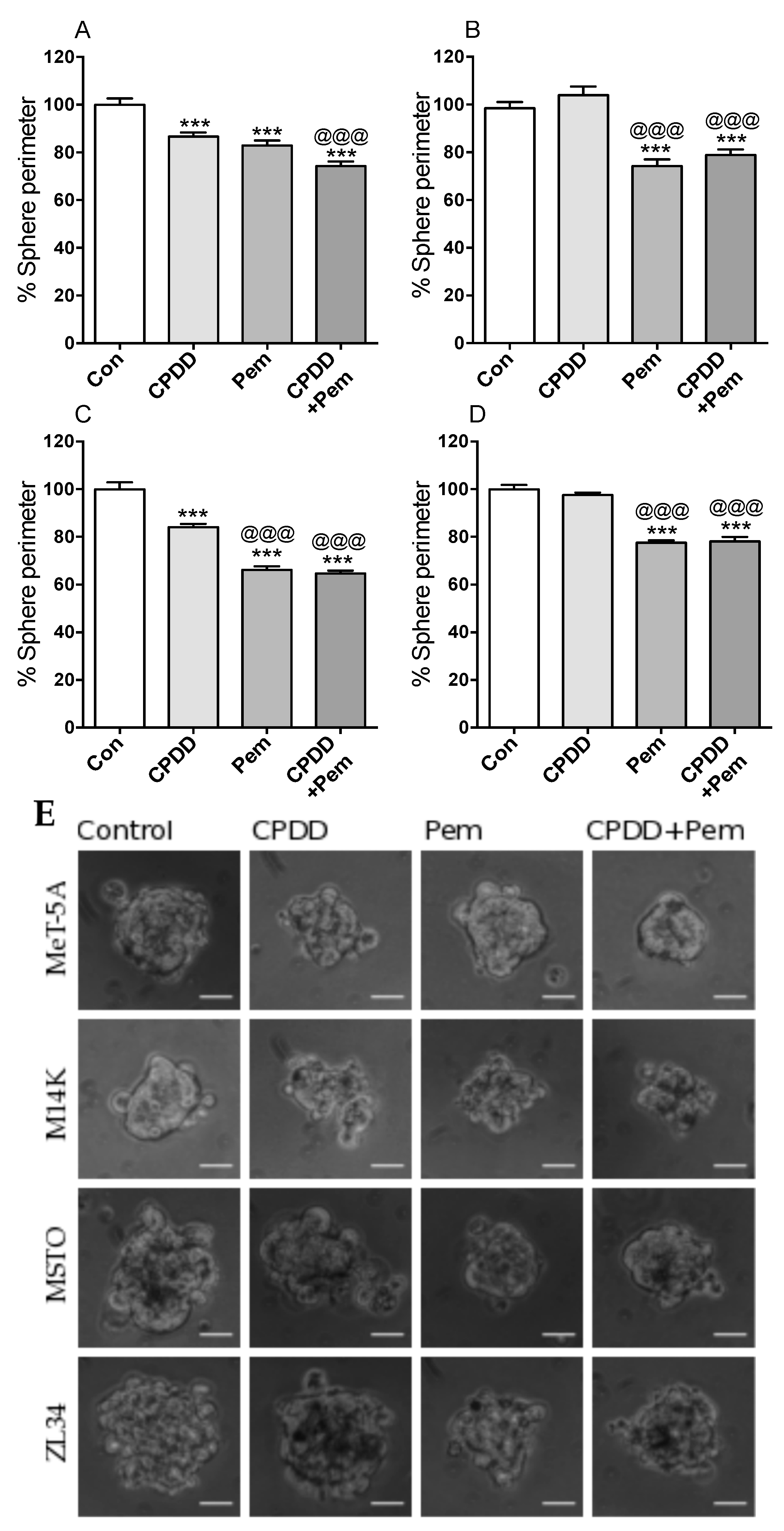 Cancers 11 01446 g002