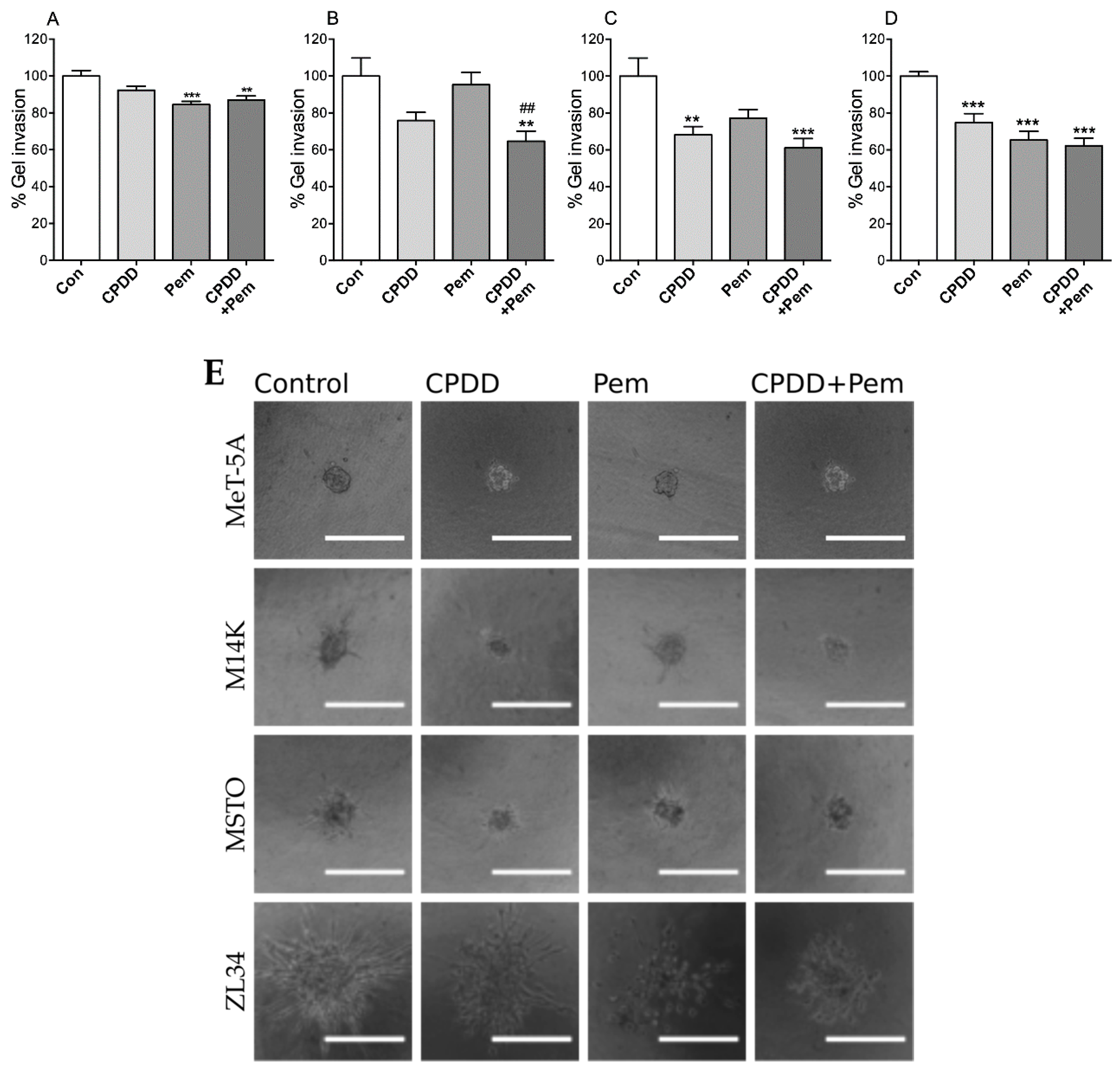Cancers 11 01446 g003