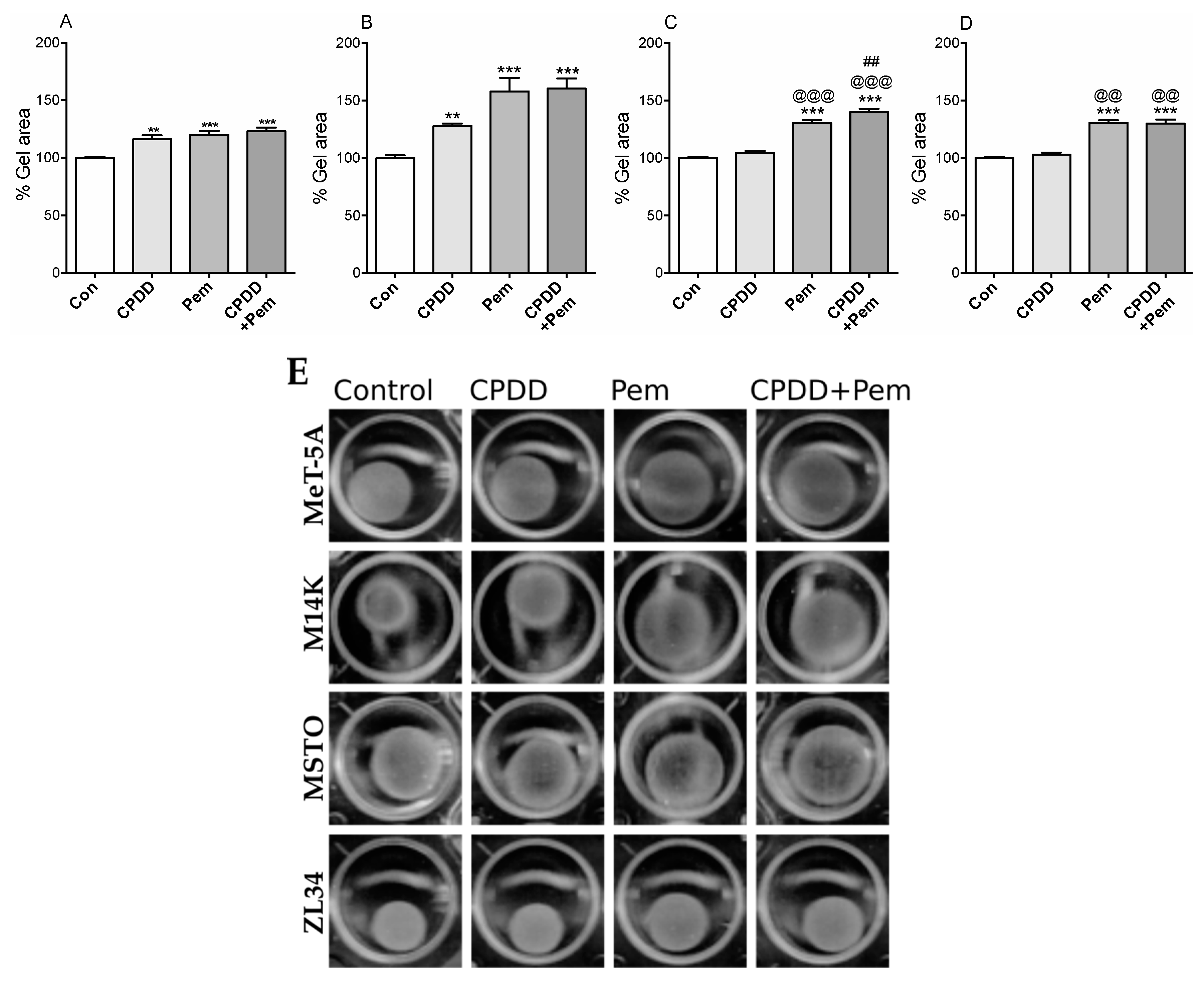Cancers 11 01446 g004