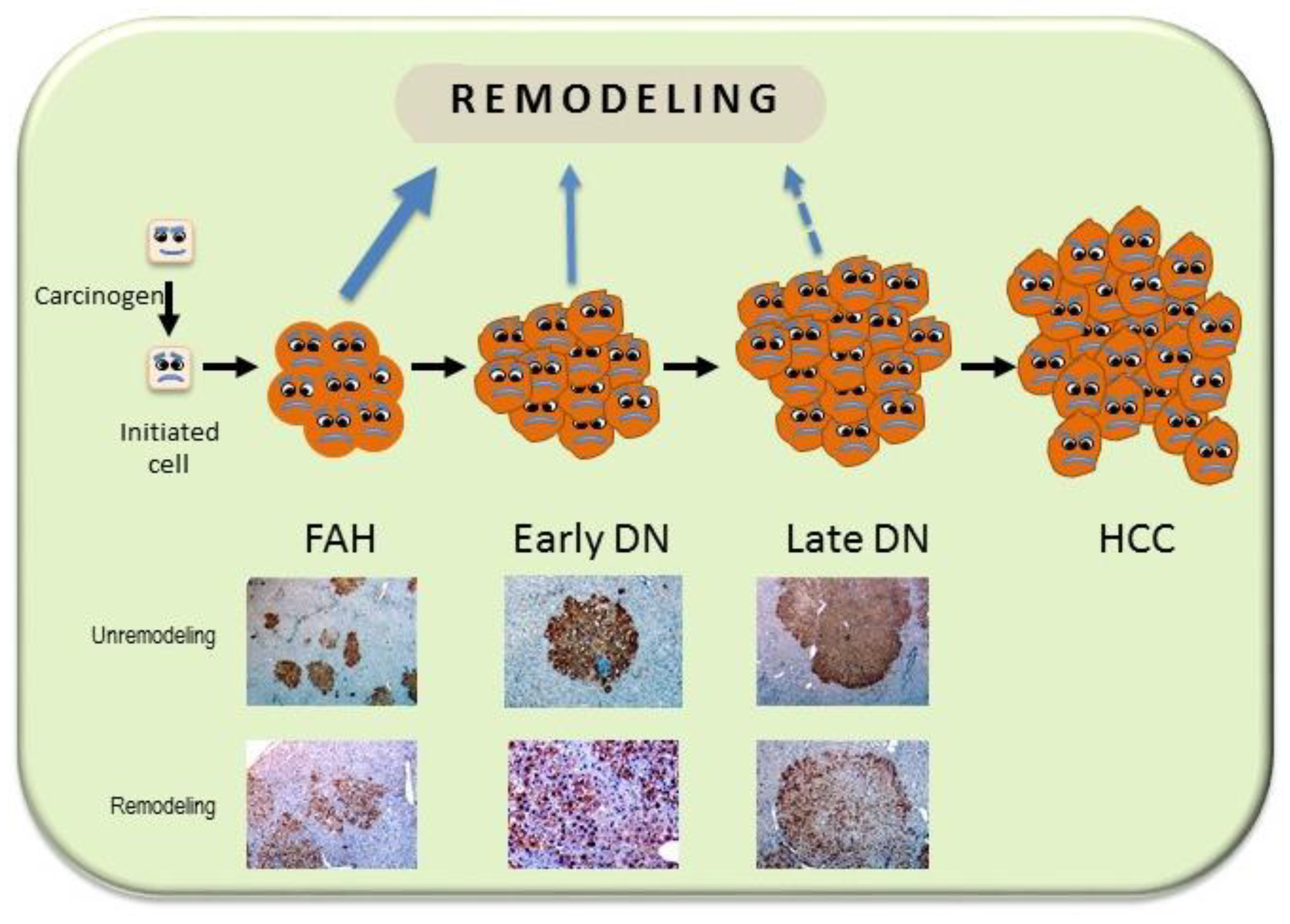 Cancers 11 01450 g003