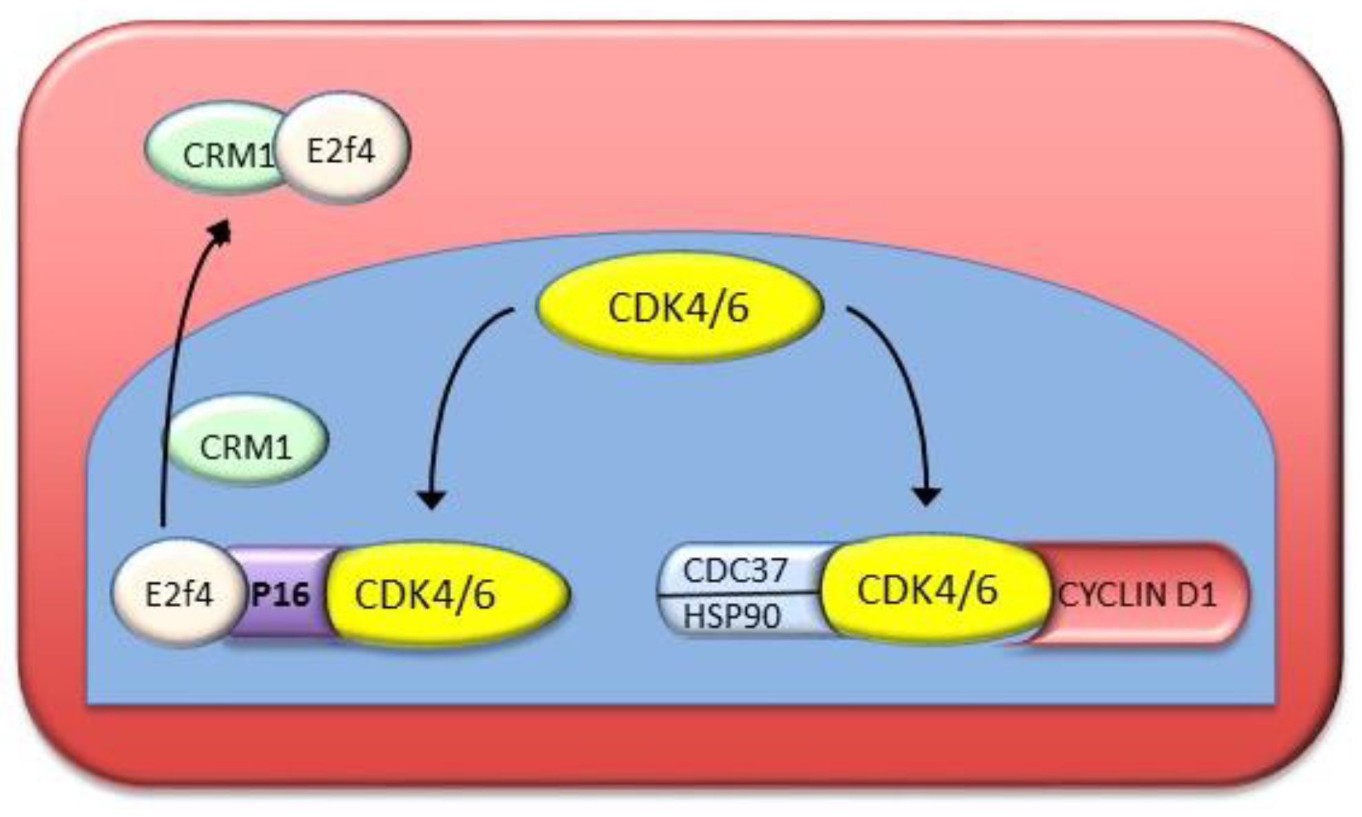 Cancers 11 01450 g008