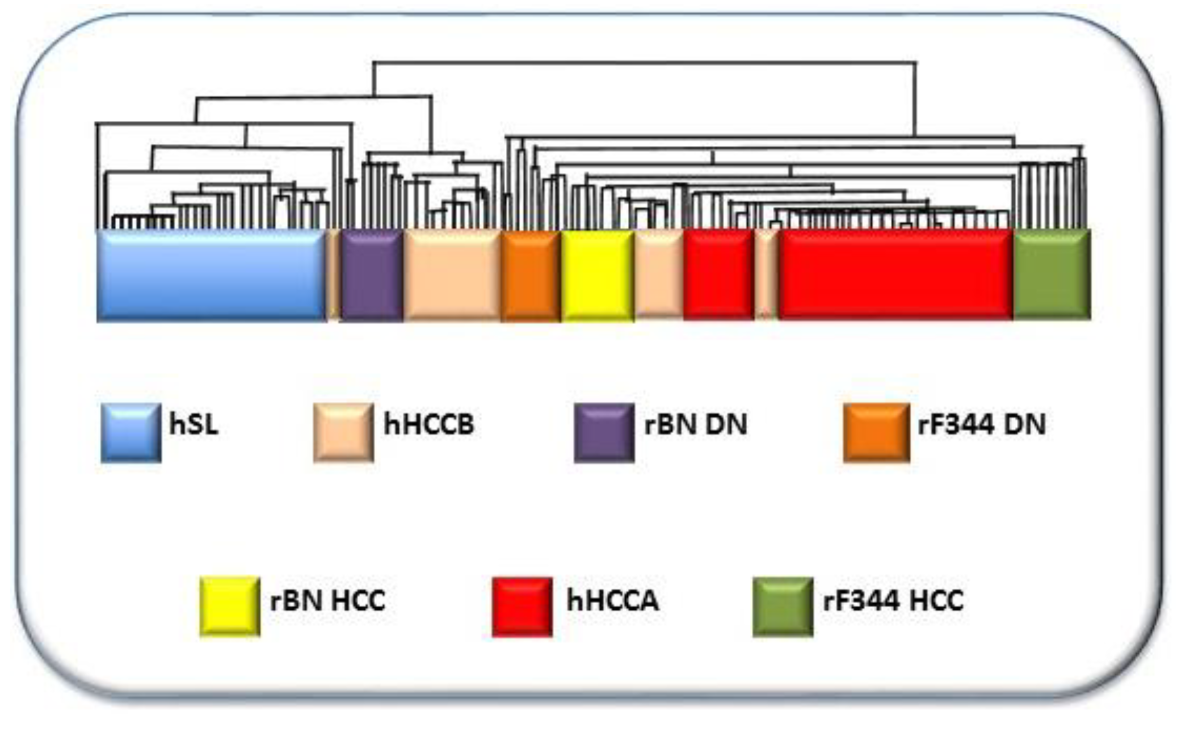 Cancers 11 01450 g009