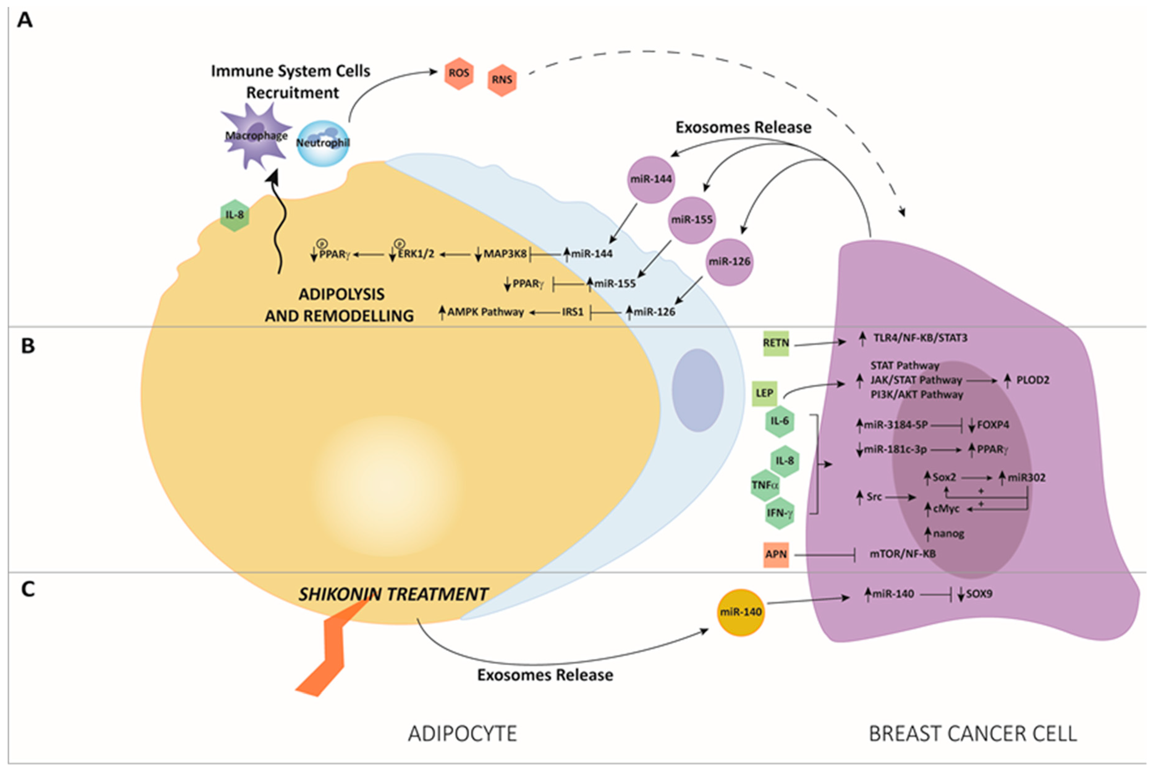 Cancers 11 01451 g002
