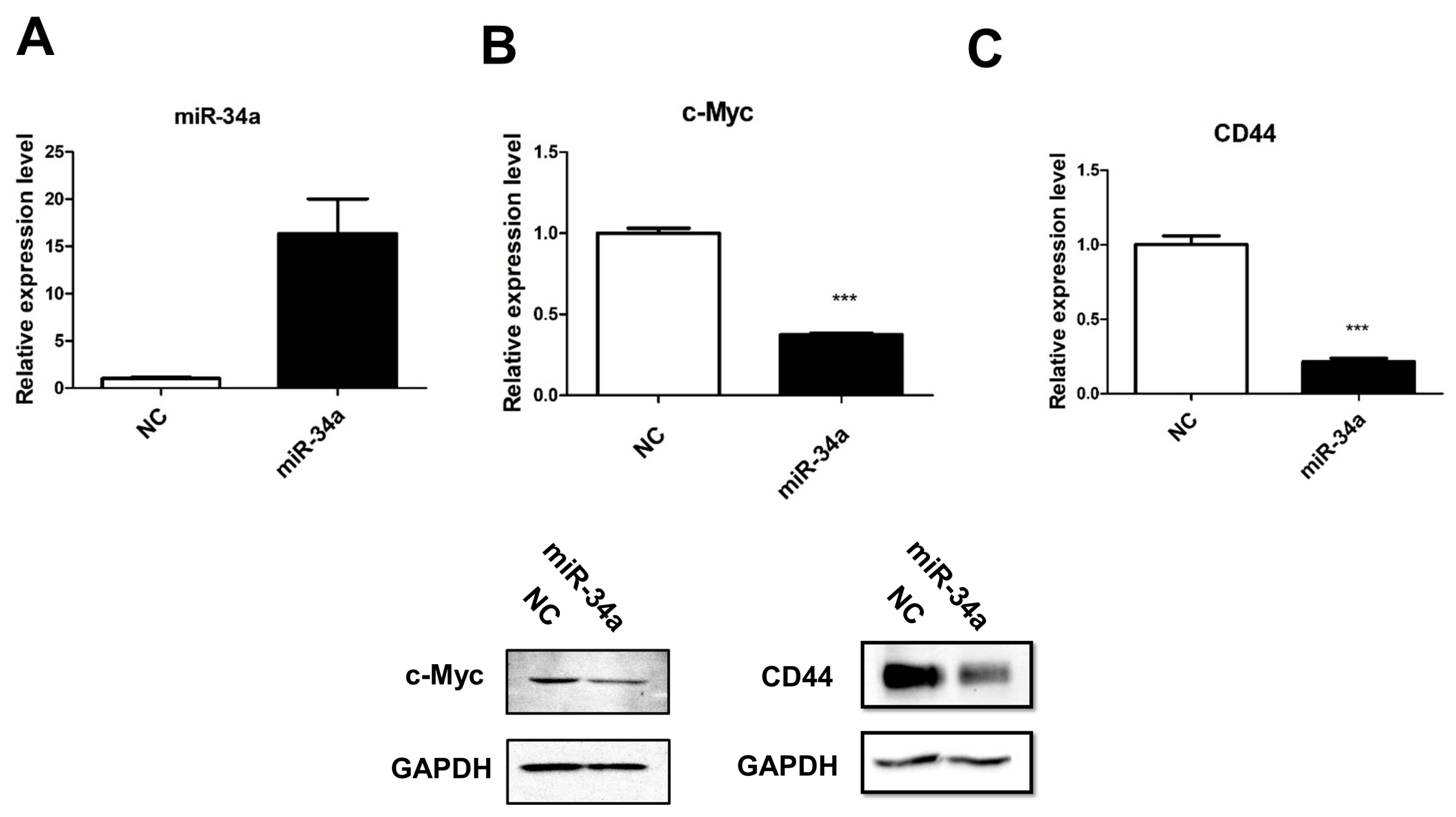 Cancers 11 01457 g002