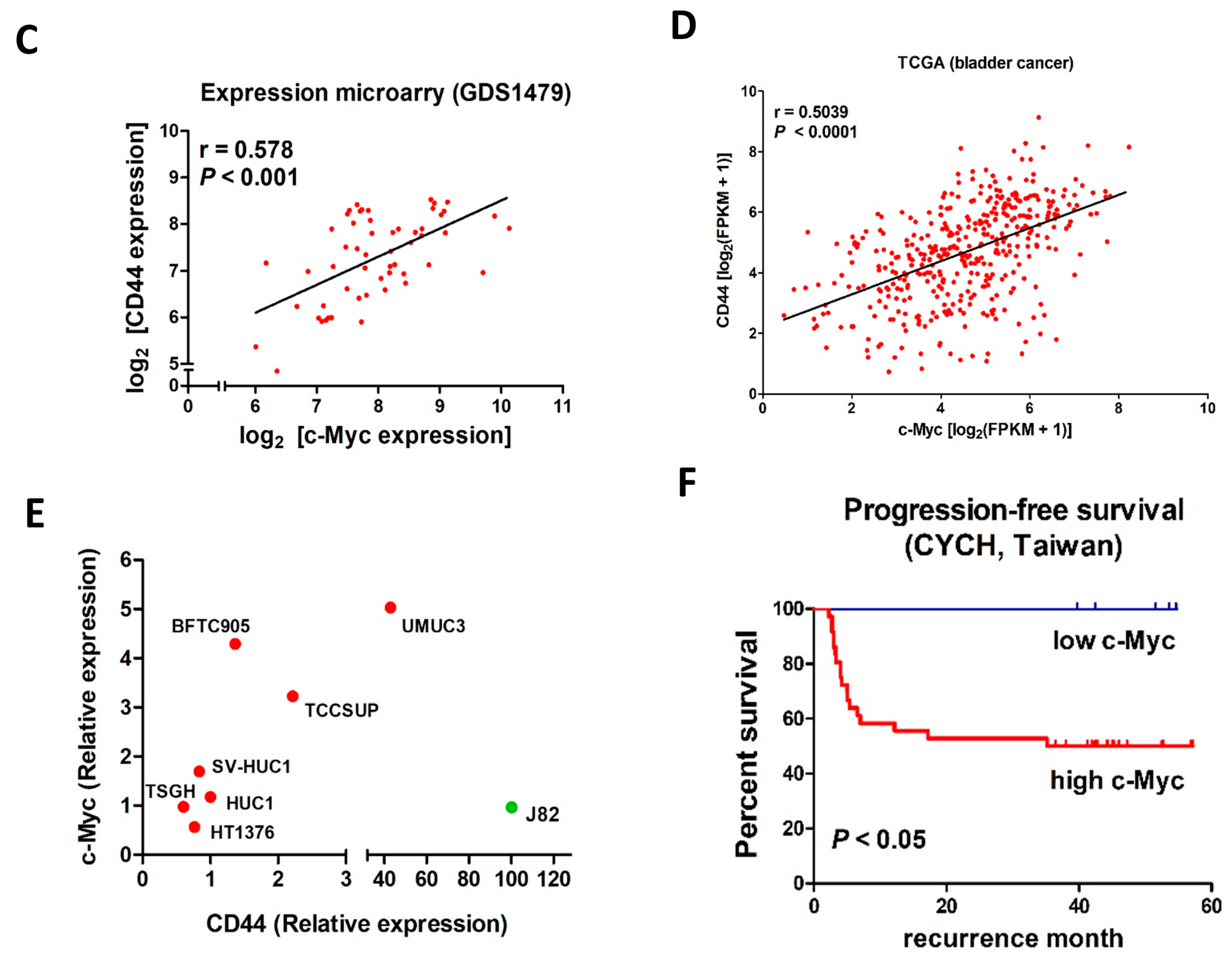 Cancers 11 01457 g006b