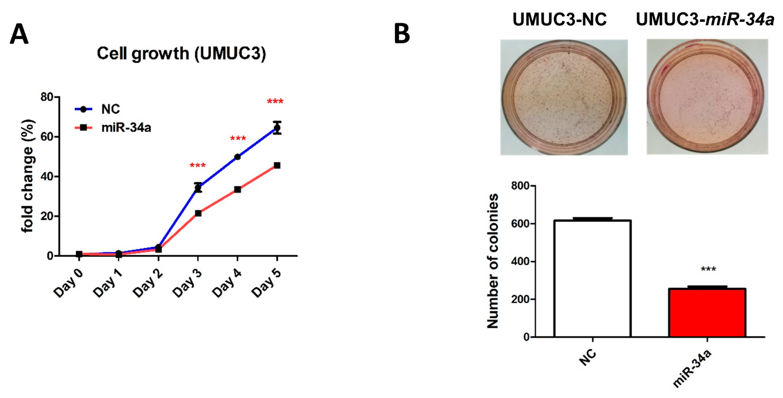 Cancers 11 01457 g008a
