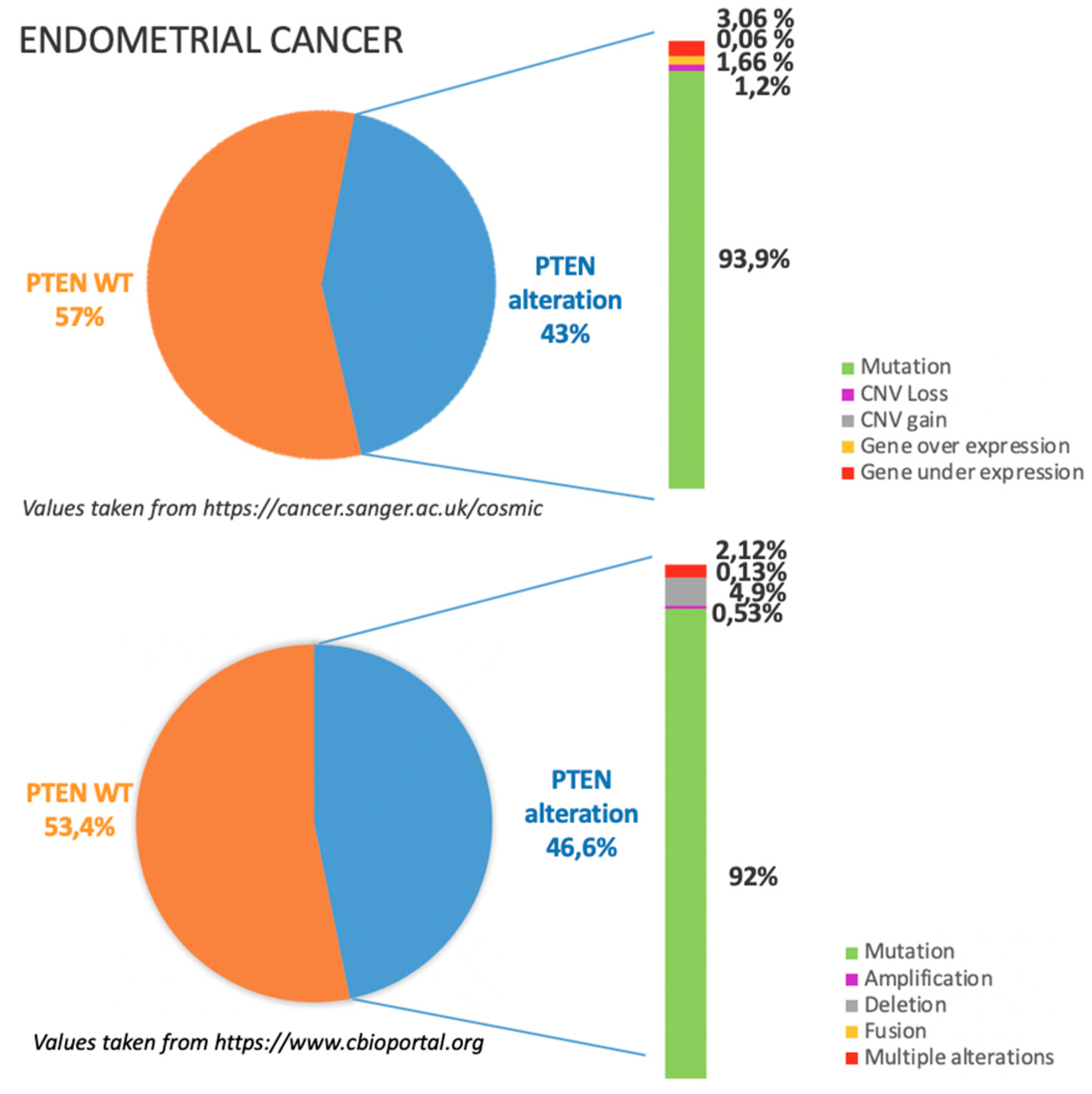 Cancers 11 01458 g003 Cancers 11 01458 g003