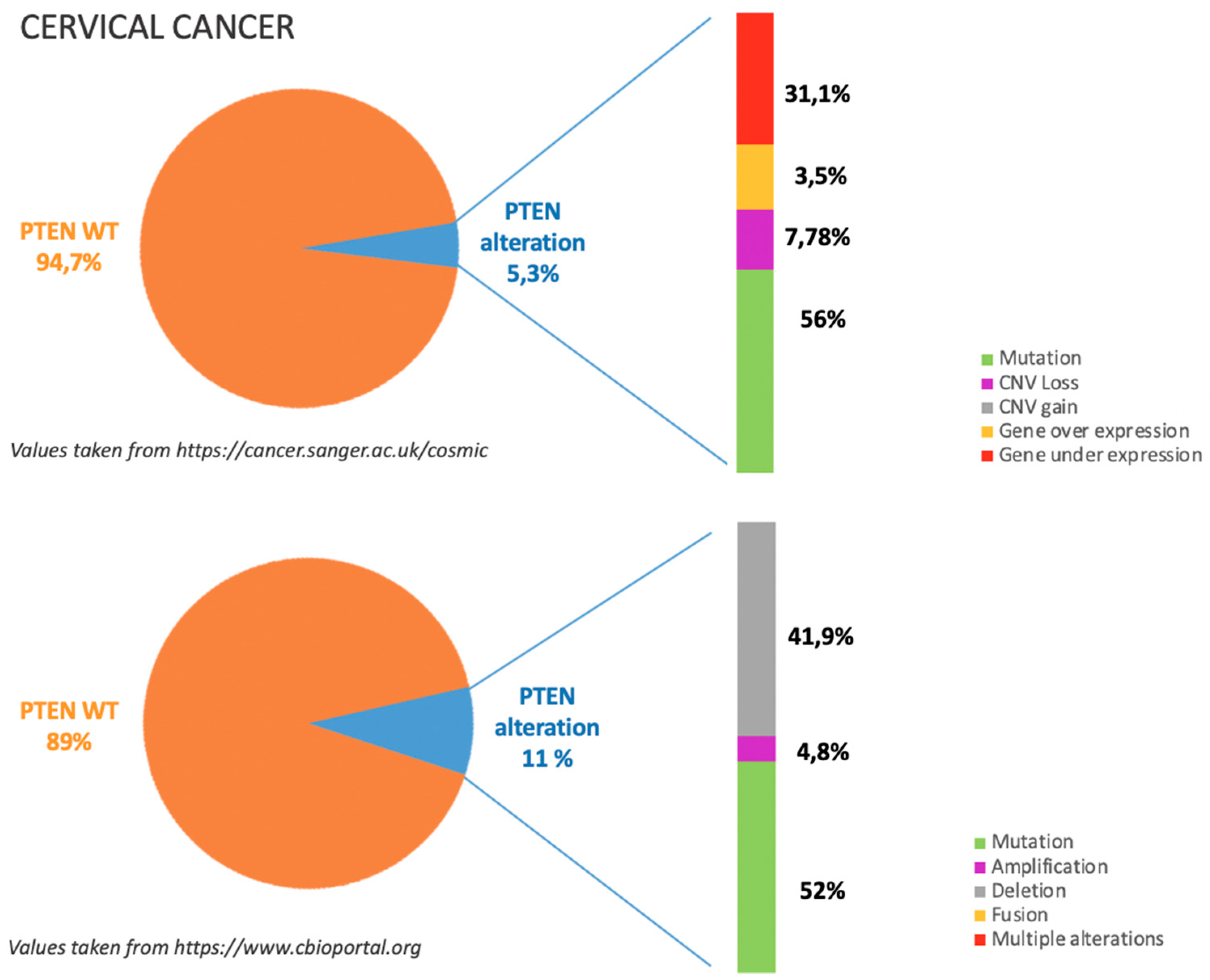 Cancers 11 01458 g004 Cancers 11 01458 g004