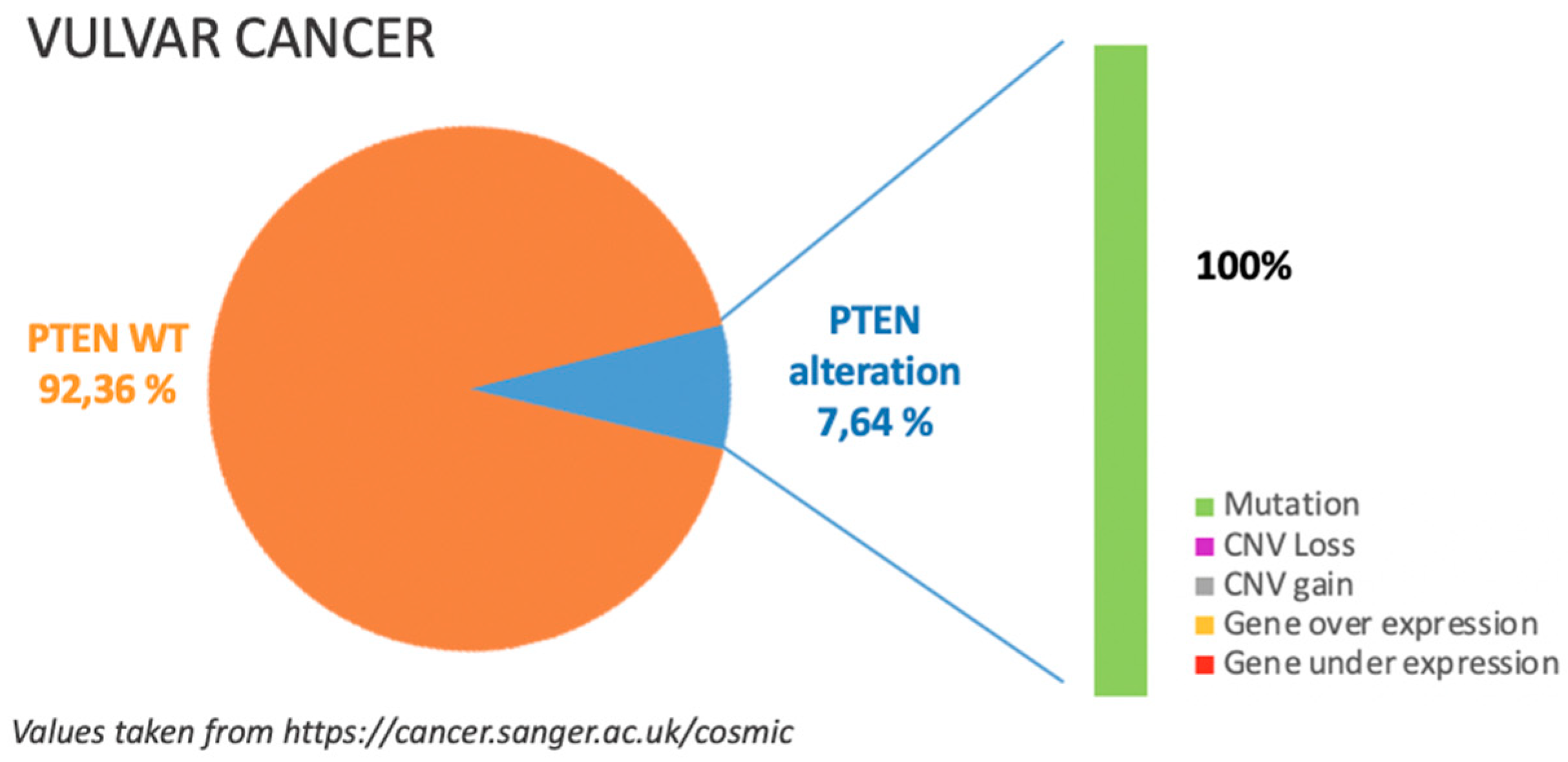 Cancers 11 01458 g005 Cancers 11 01458 g005