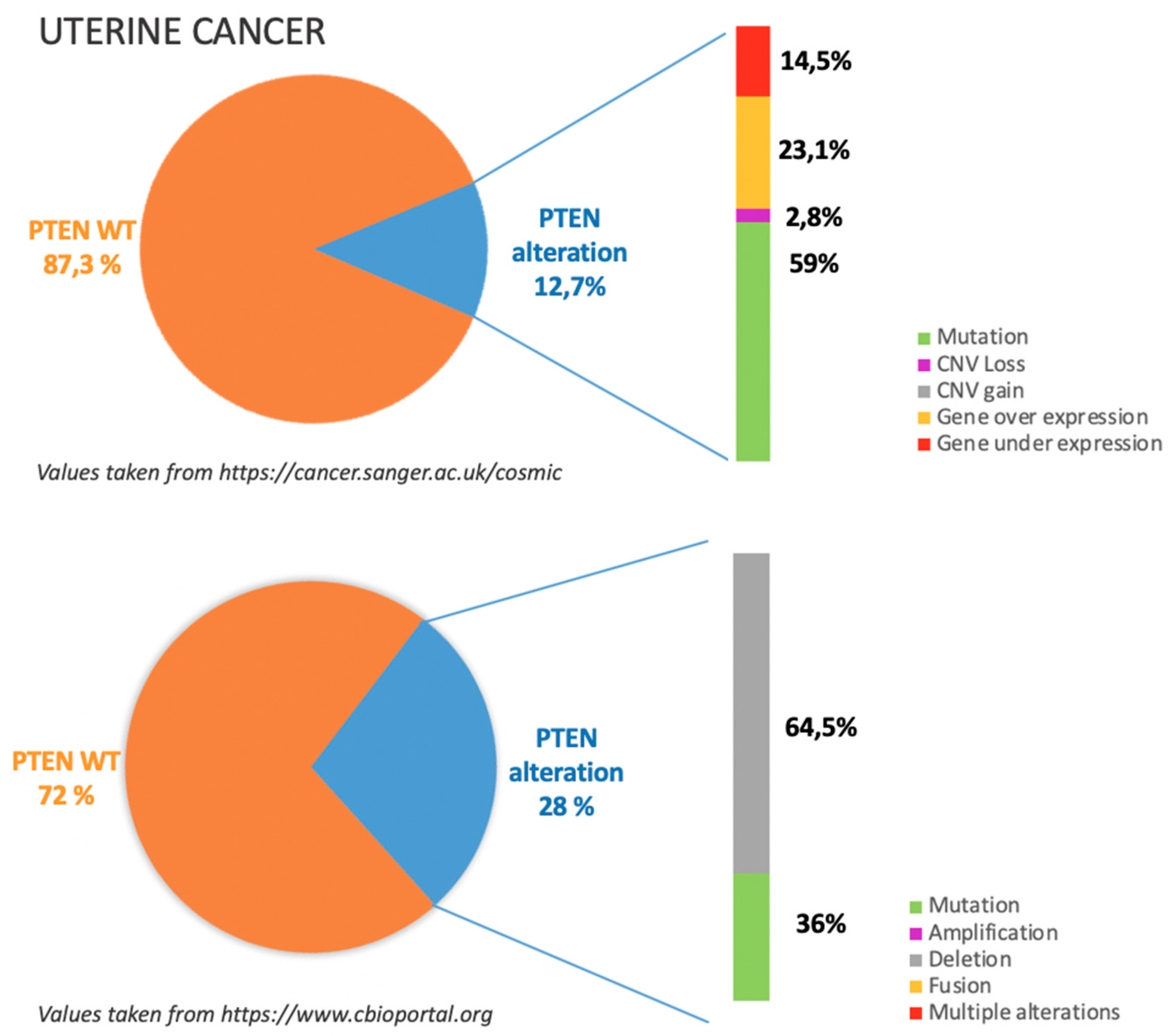 Cancers 11 01458 g006 Cancers 11 01458 g006