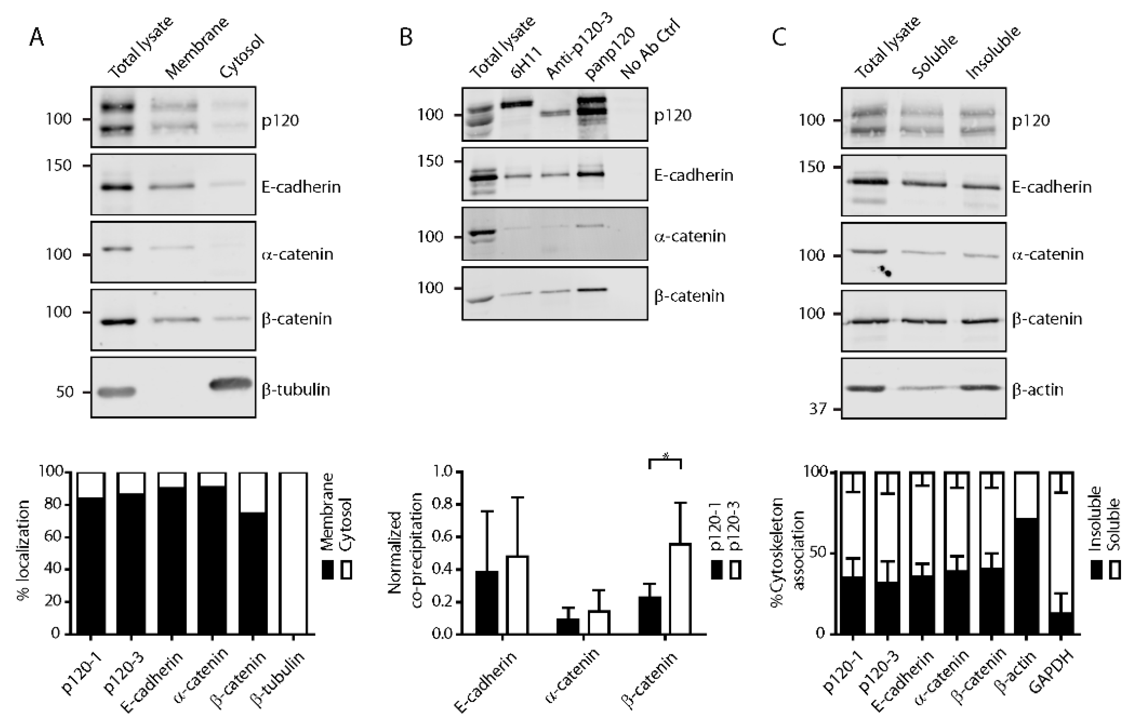 Cancers 11 01459 g002