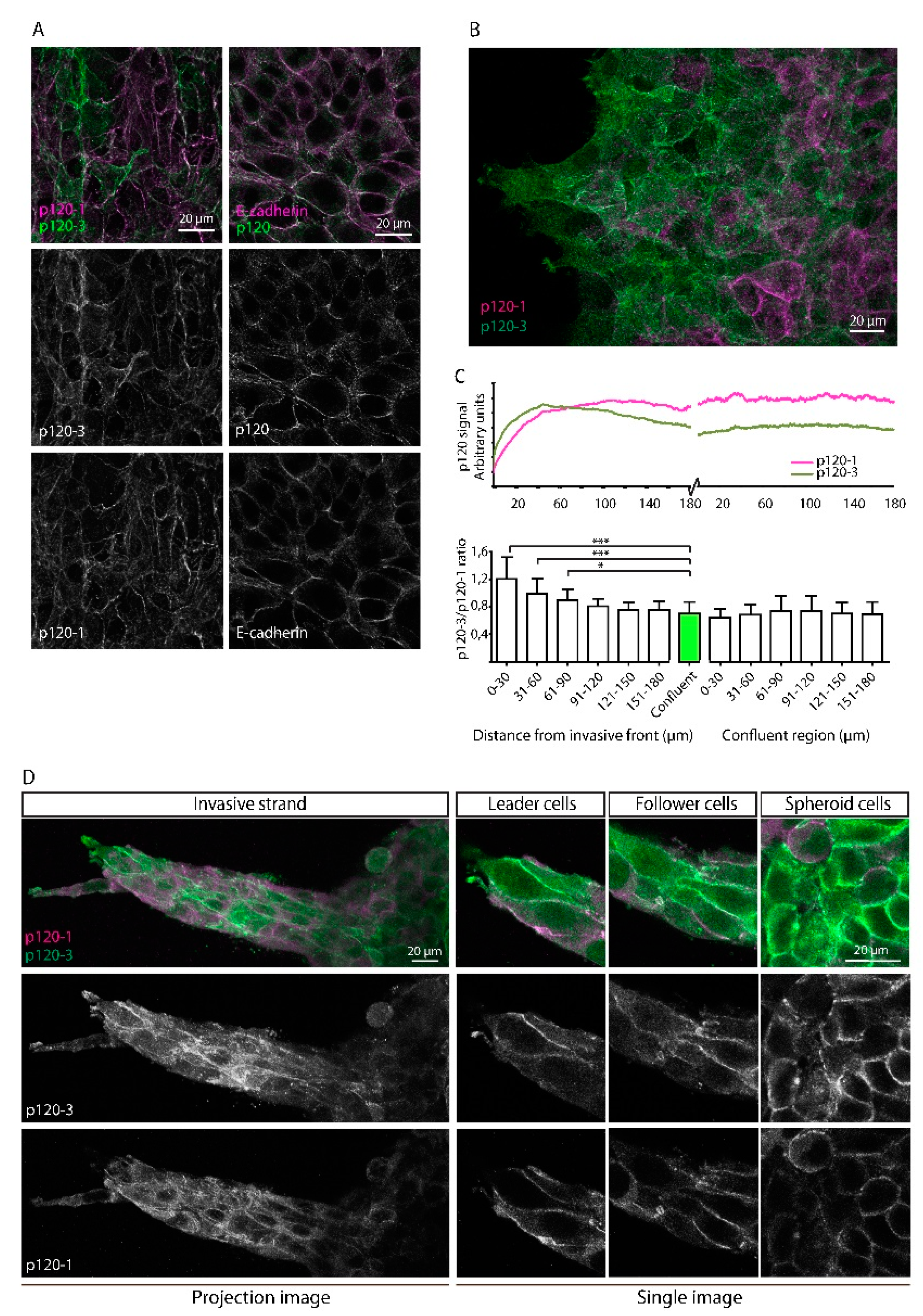 Cancers 11 01459 g003