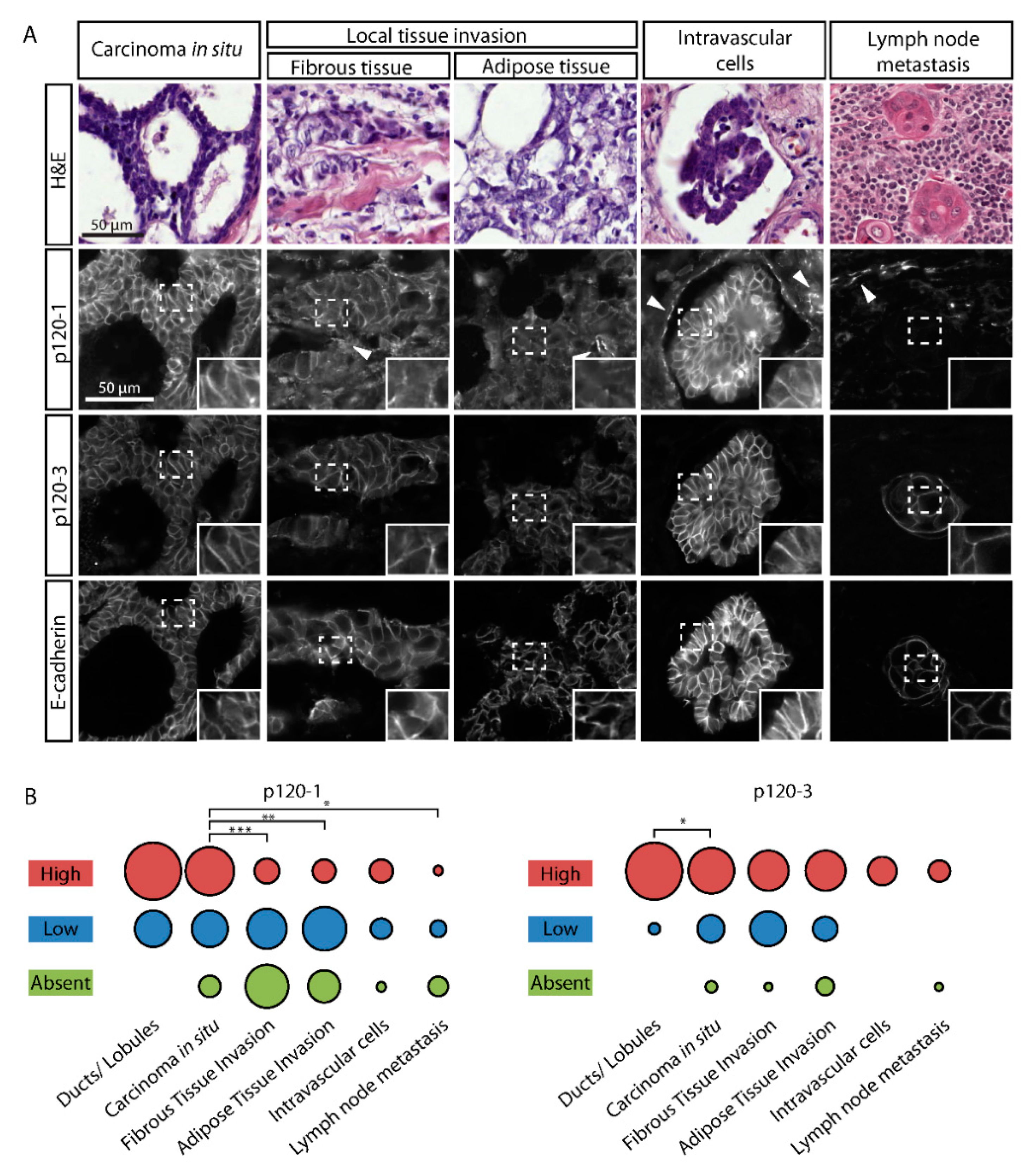 Cancers 11 01459 g004