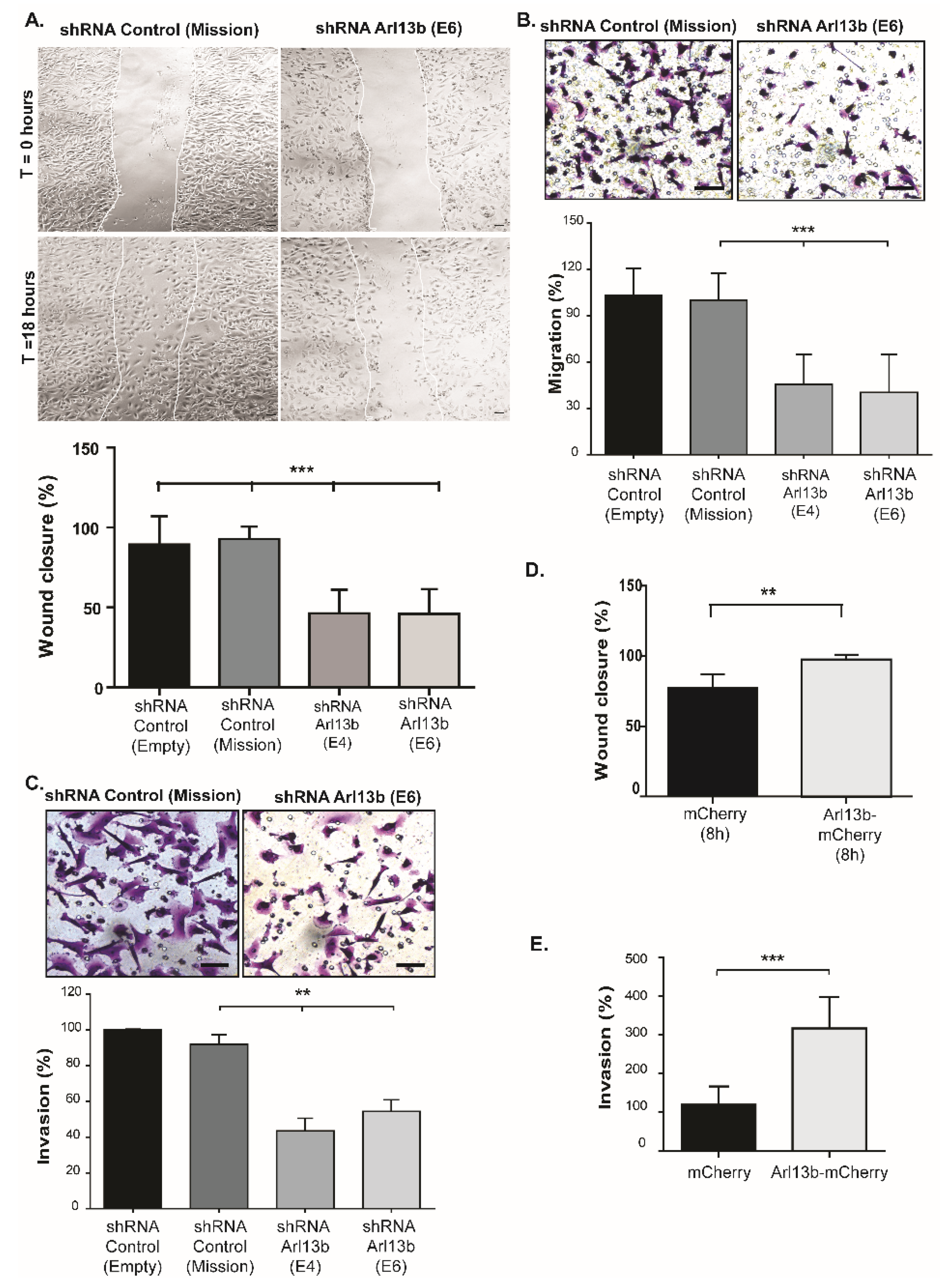 Cancers 11 01461 g001