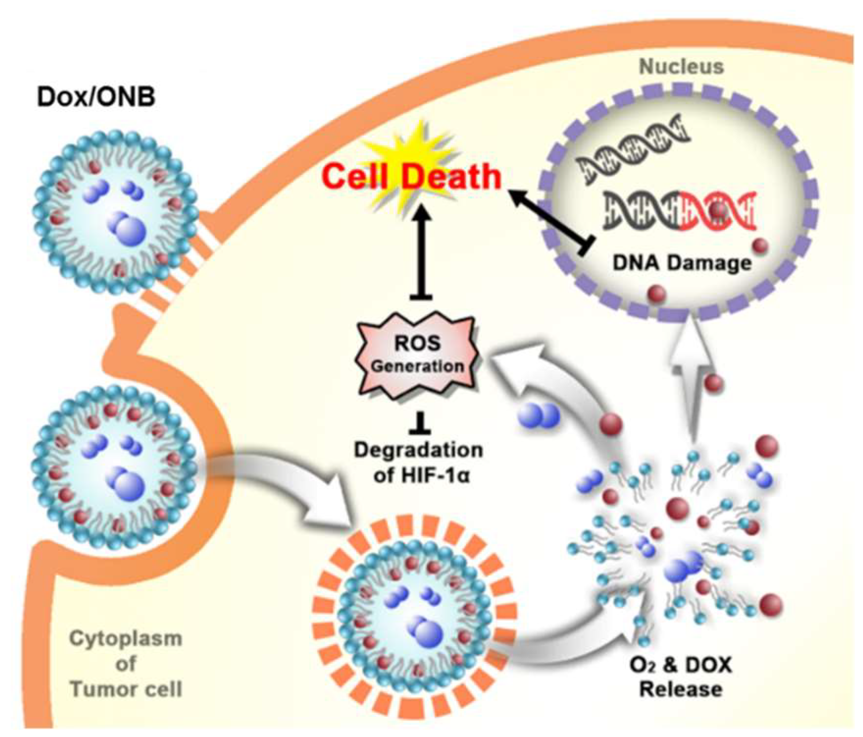 Cancers 11 01464 g001 Cancers 11 01464 g001