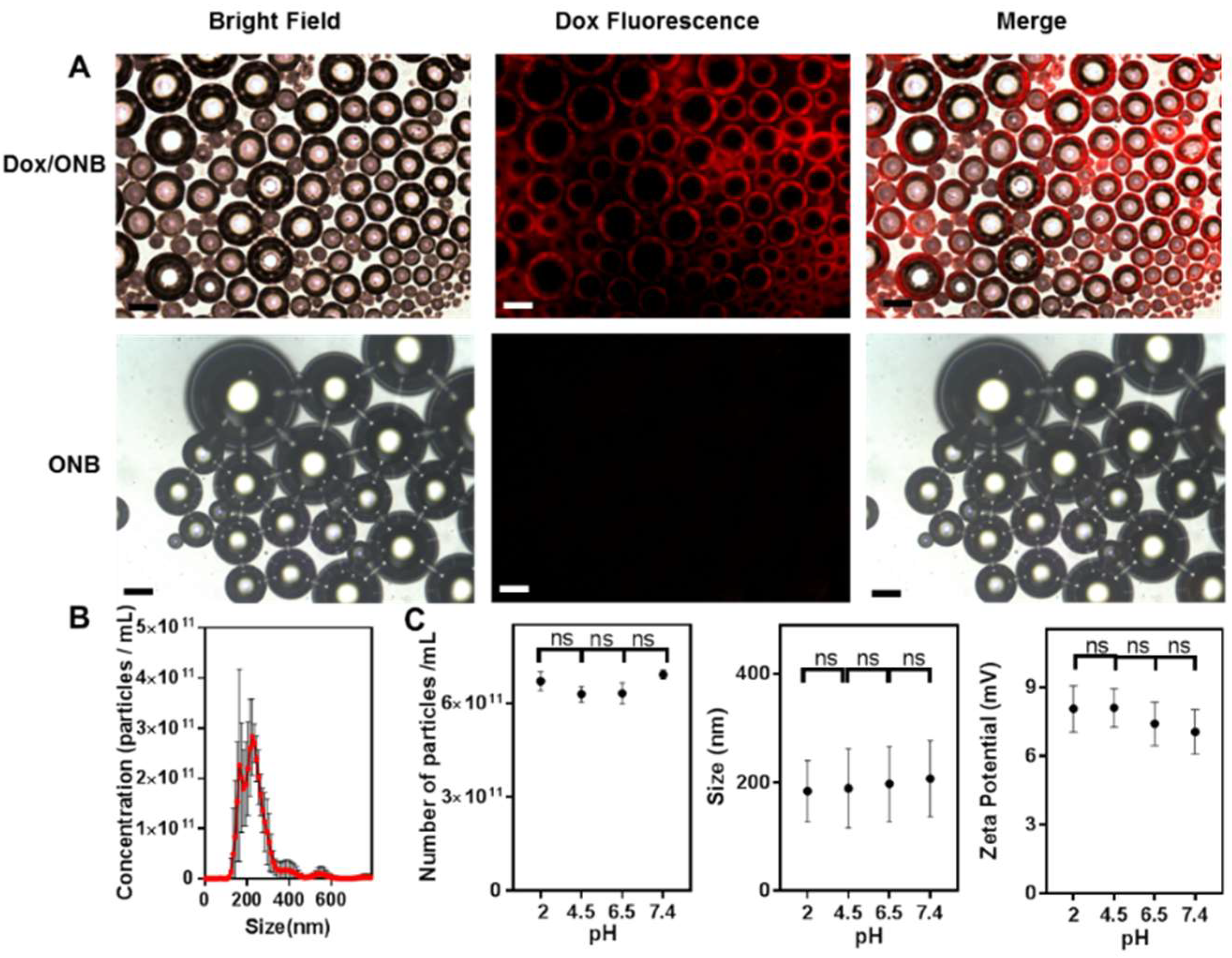 Cancers 11 01464 g002 Cancers 11 01464 g002