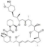 Cancers 11 01465 i007 Cancers 11 01465 i007