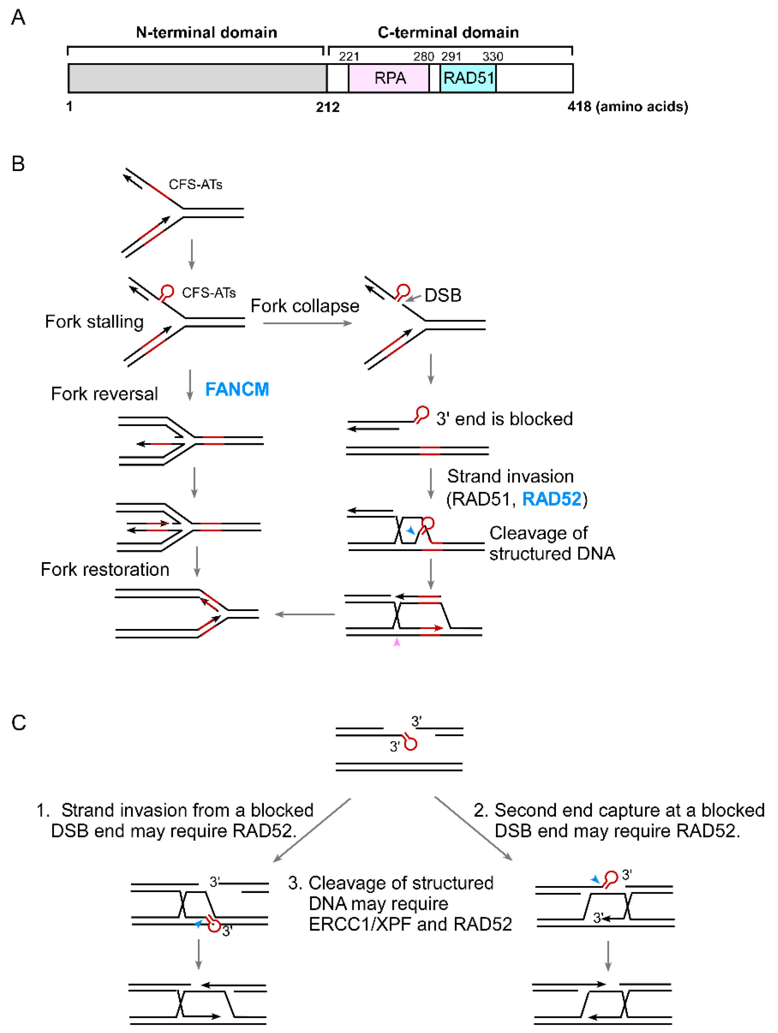 Cancers 11 01467 g002