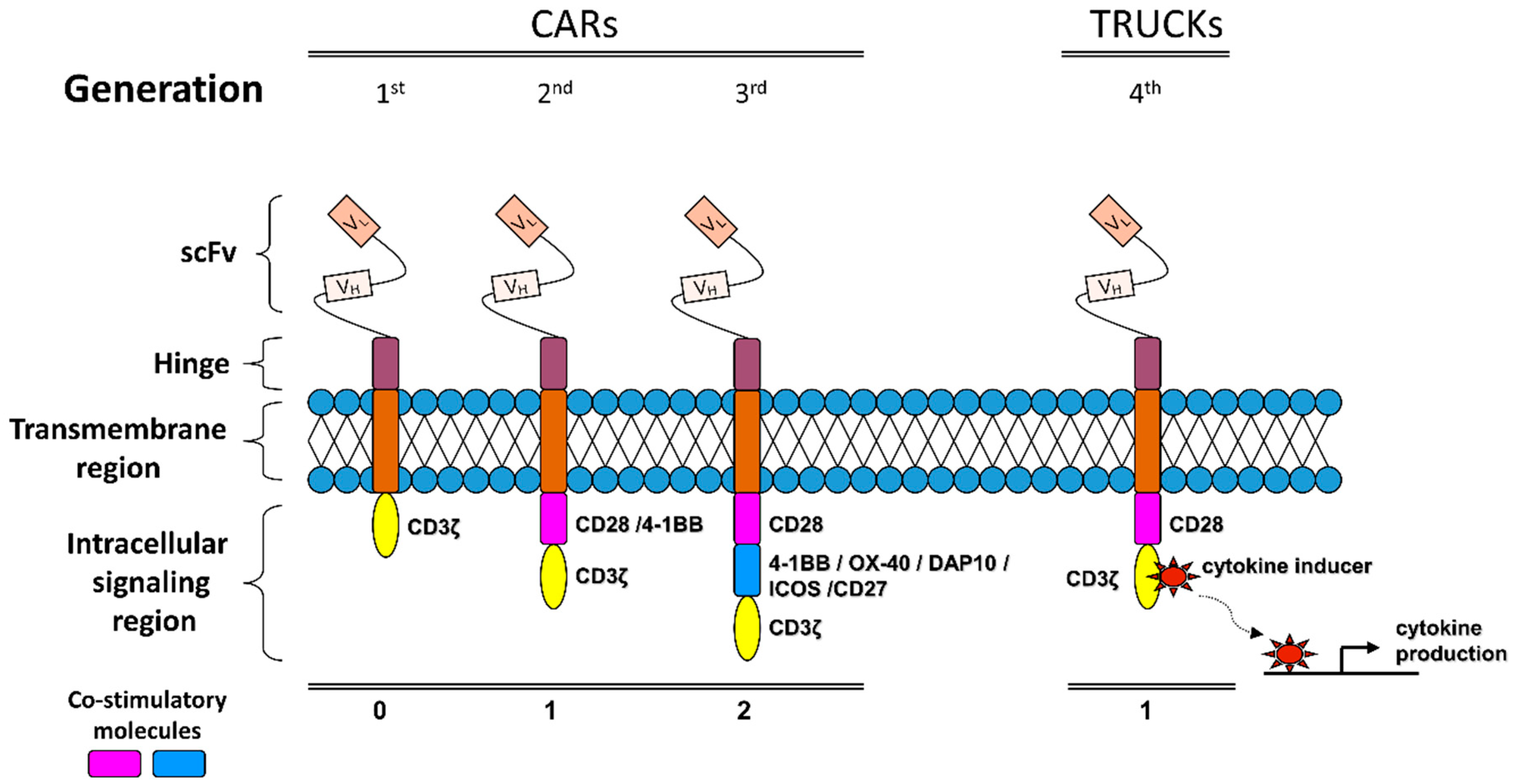 Cancers 11 01472 g002