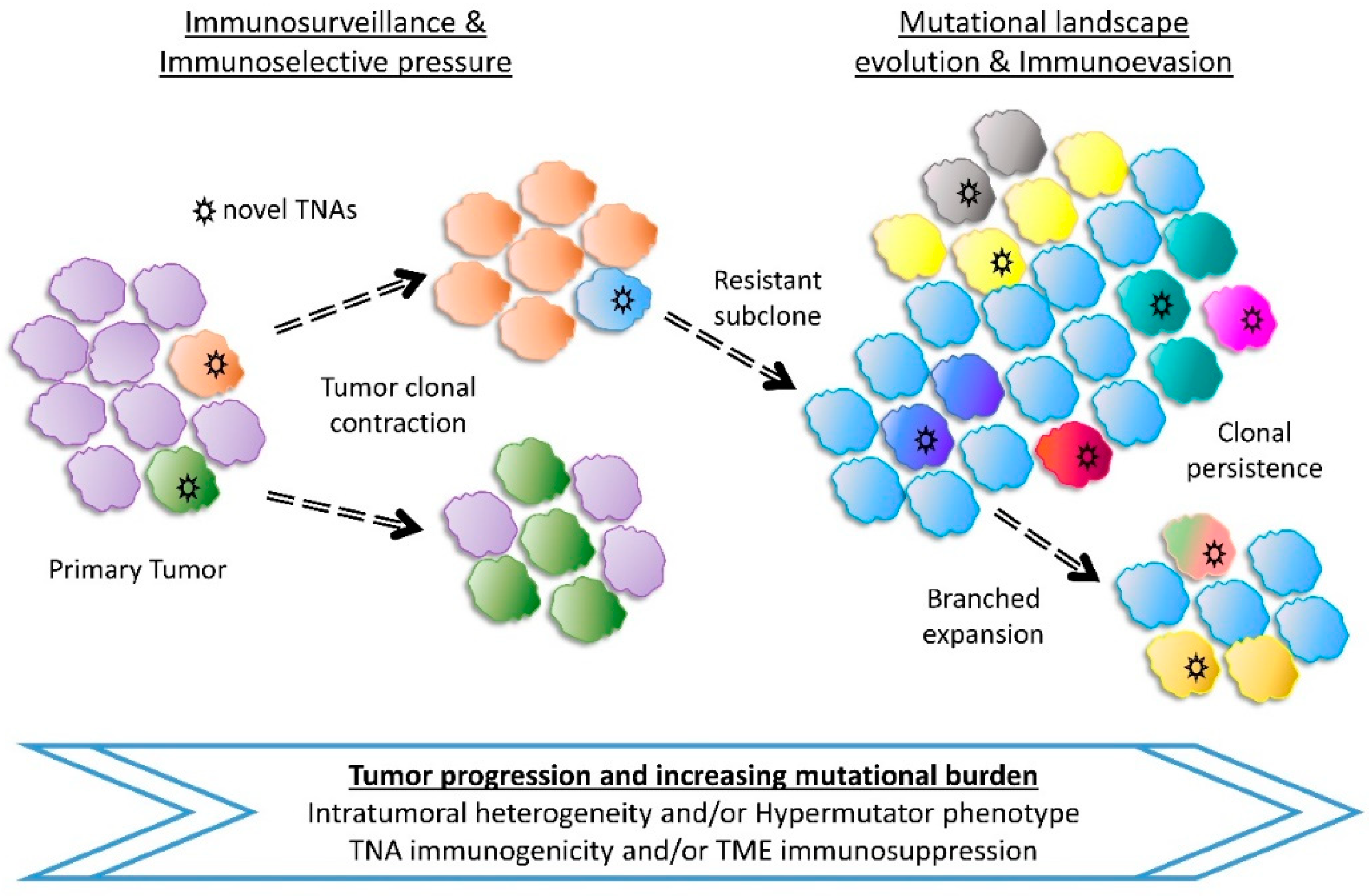 Cancers 11 01472 g003