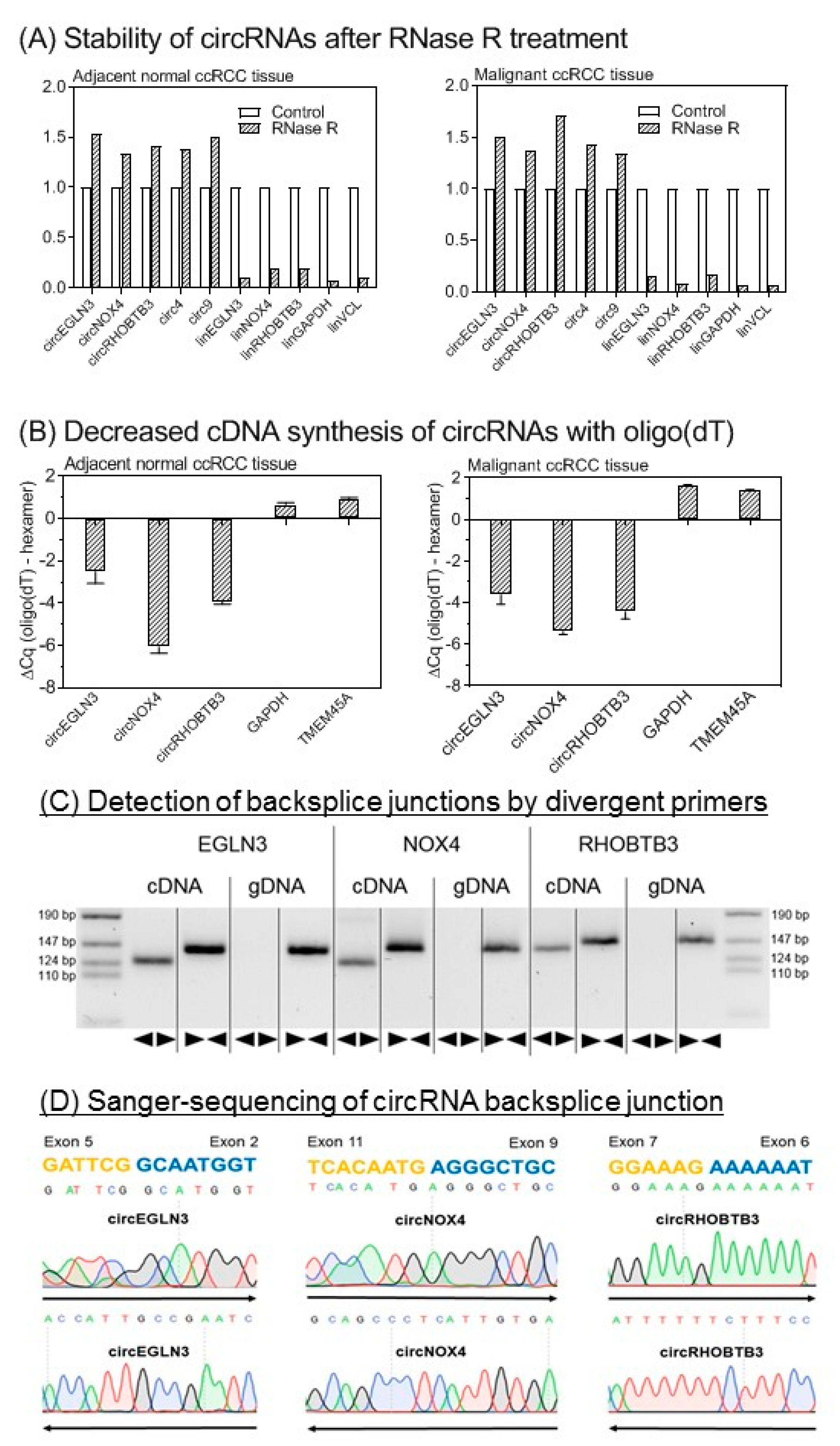 Cancers 11 01473 g003
