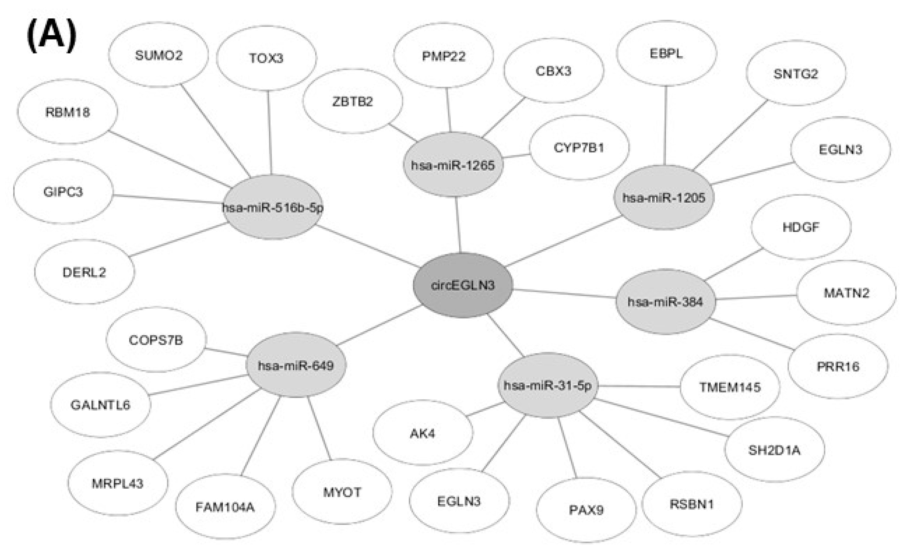 Cancers 11 01473 g007a