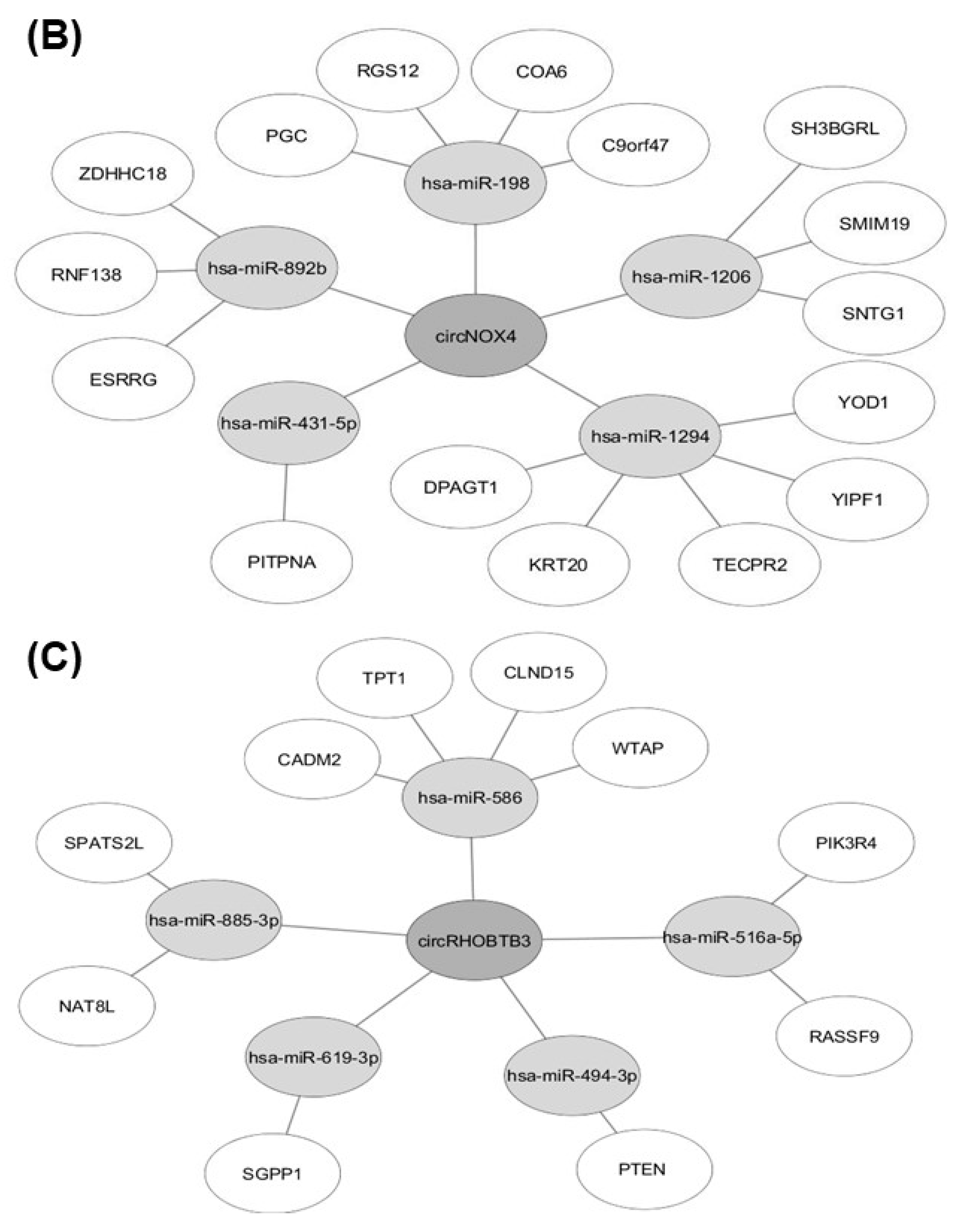 Cancers 11 01473 g007b