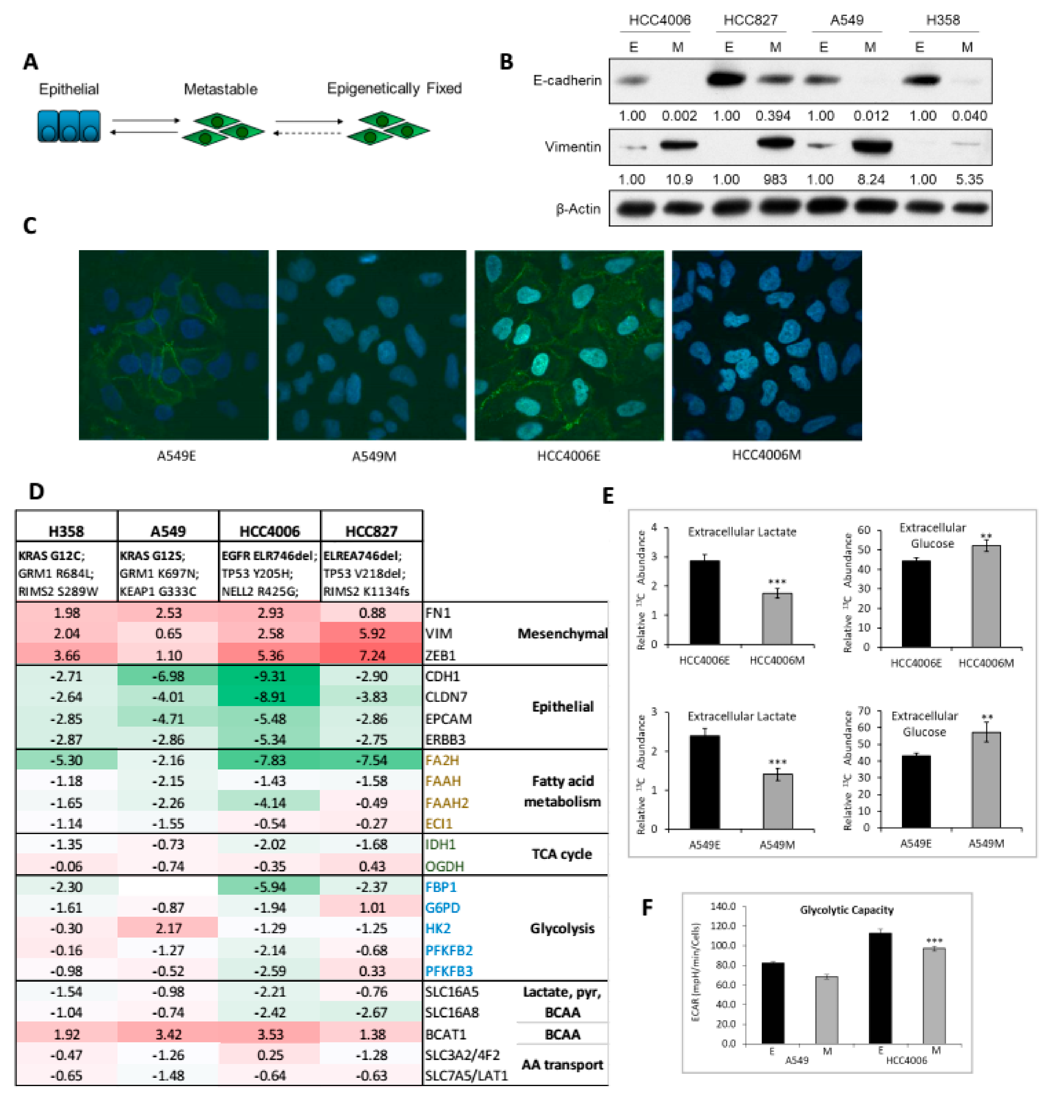 Cancers 11 01488 g001 Cancers 11 01488 g001