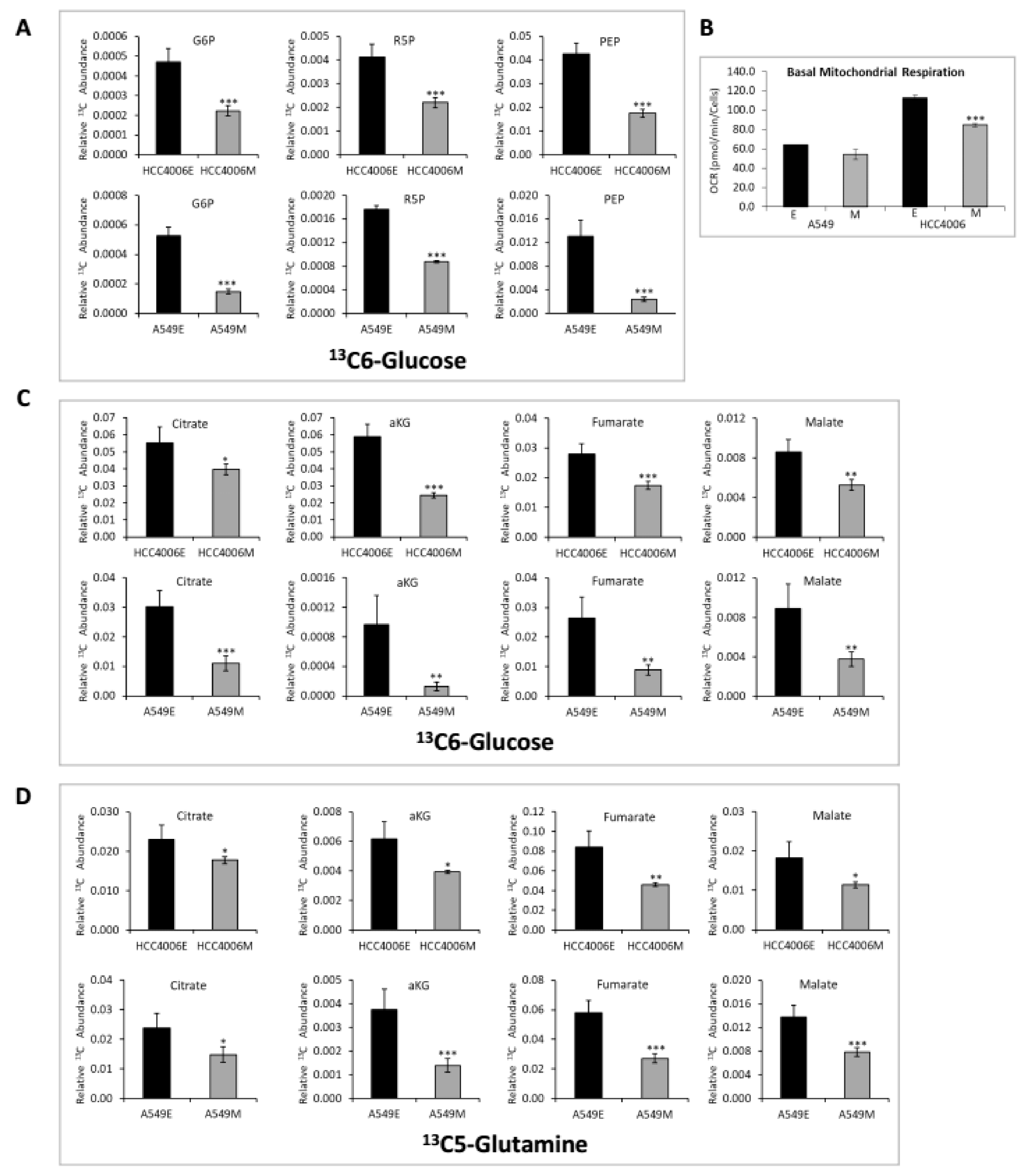 Cancers 11 01488 g002 Cancers 11 01488 g002