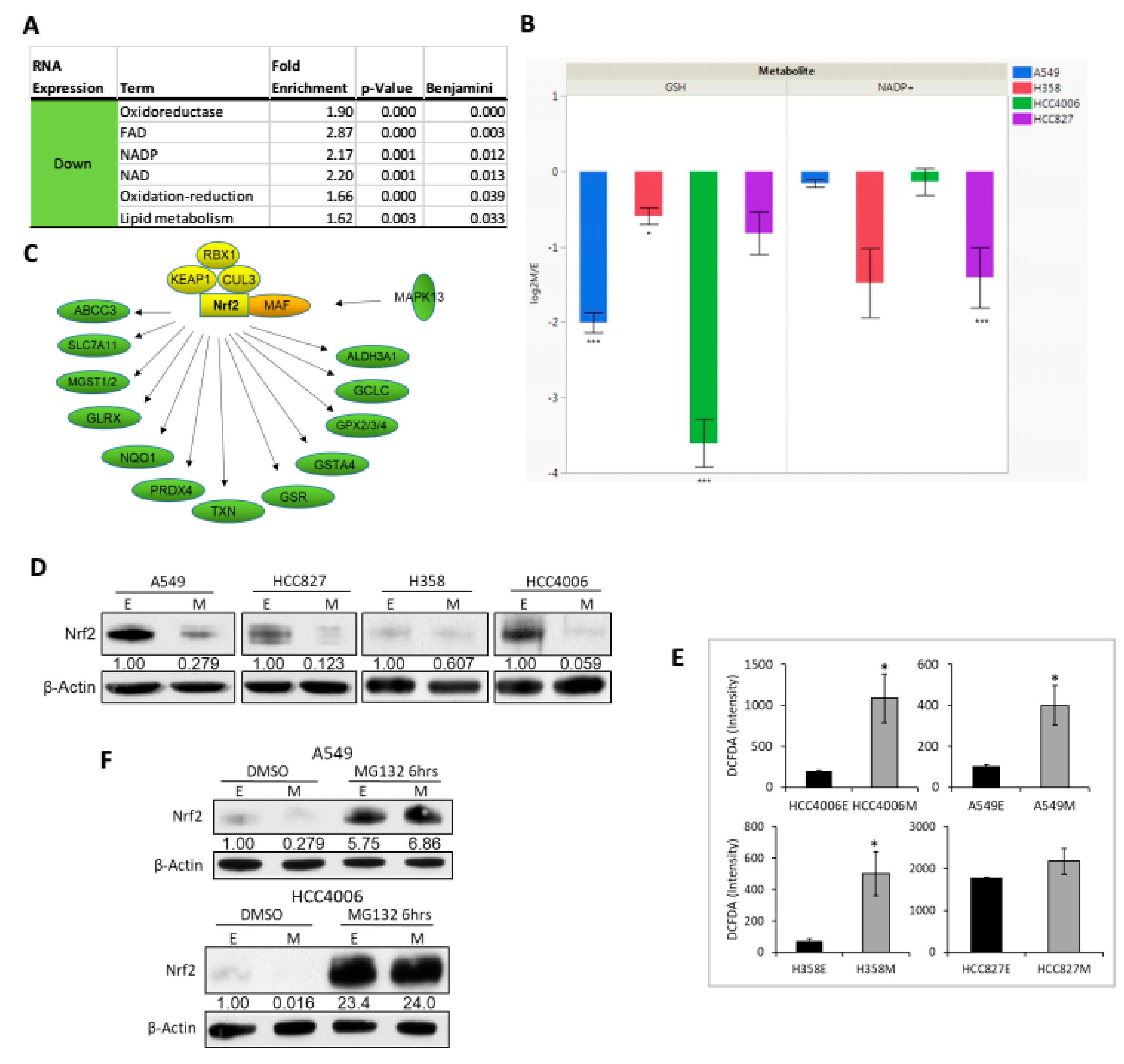 Cancers 11 01488 g004 Cancers 11 01488 g004