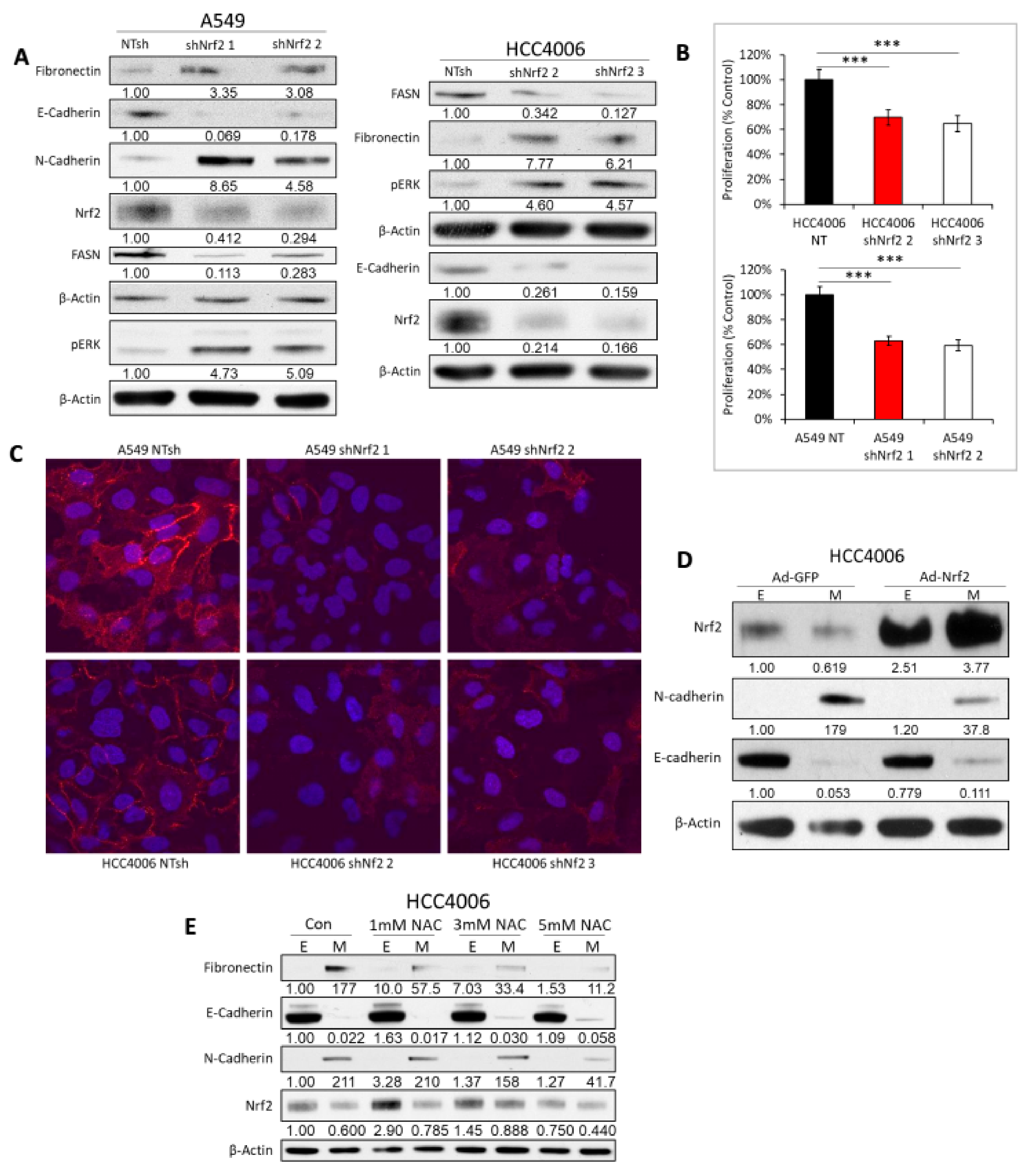 Cancers 11 01488 g005 Cancers 11 01488 g005