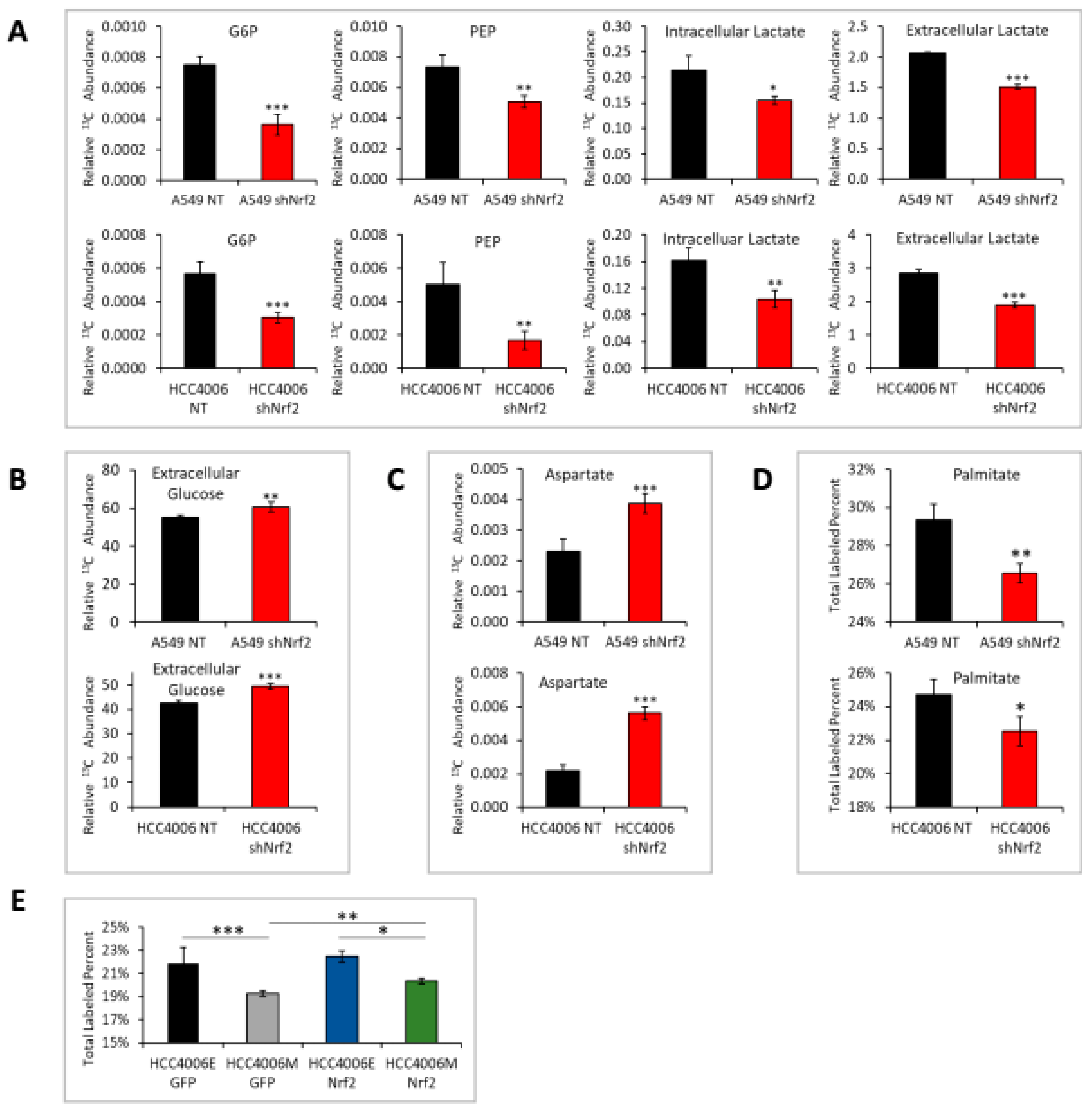 Cancers 11 01488 g006 Cancers 11 01488 g006
