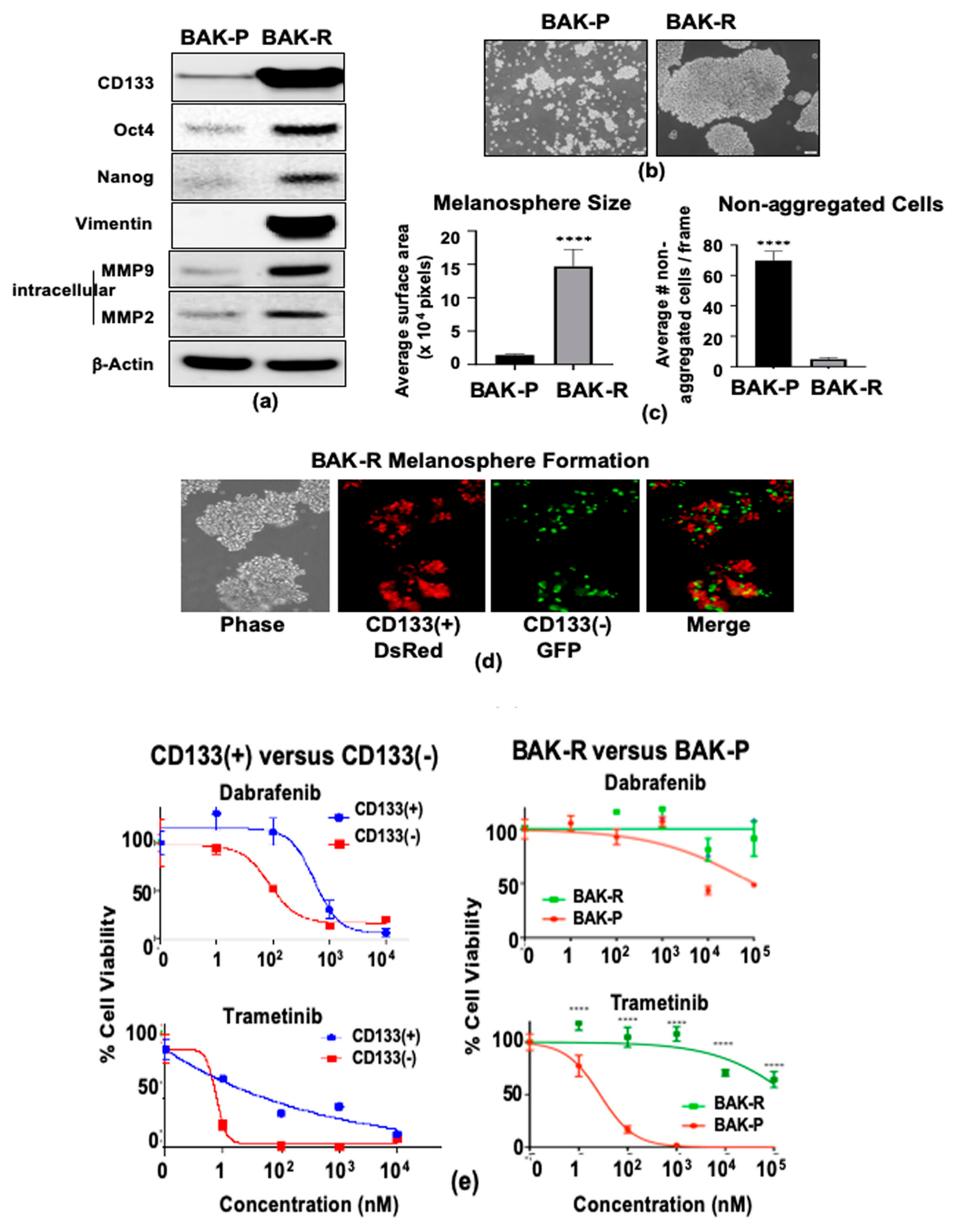 Cancers 11 01490 g002