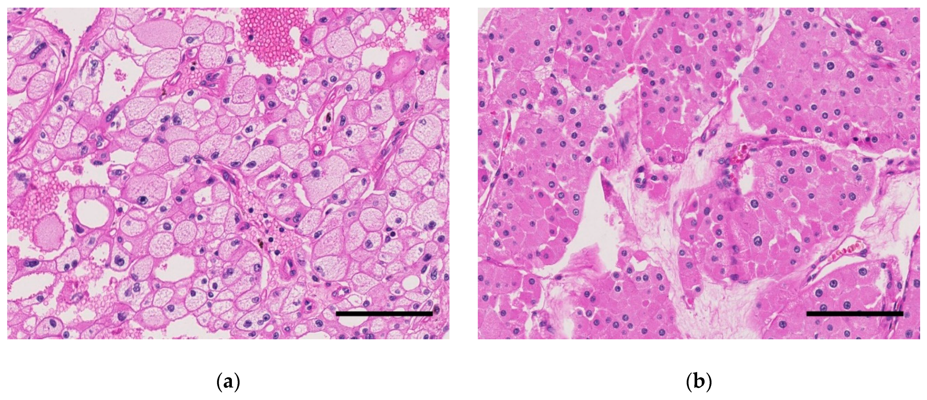 Cancers 11 01492 g001