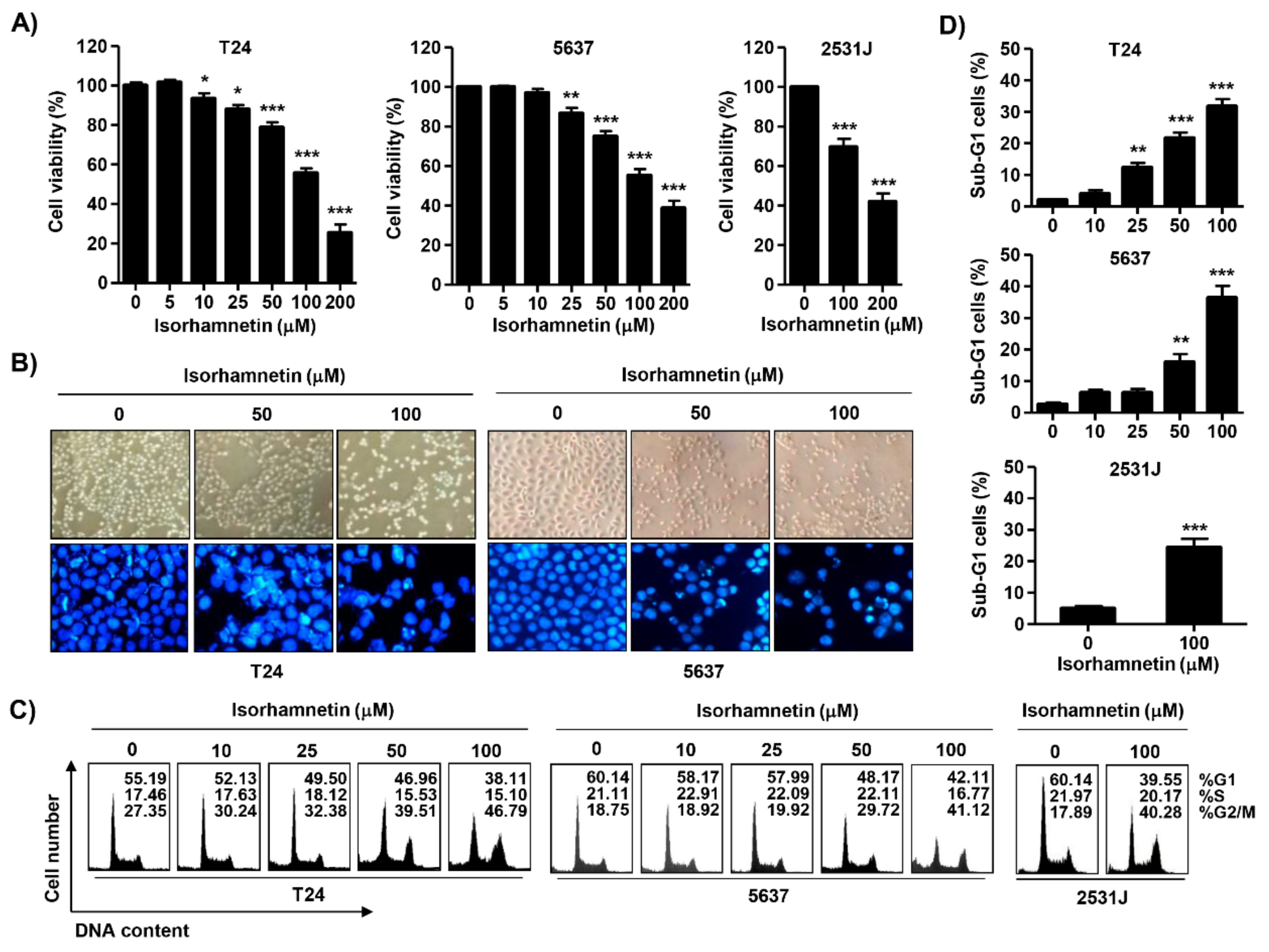 Cancers 11 01494 g001