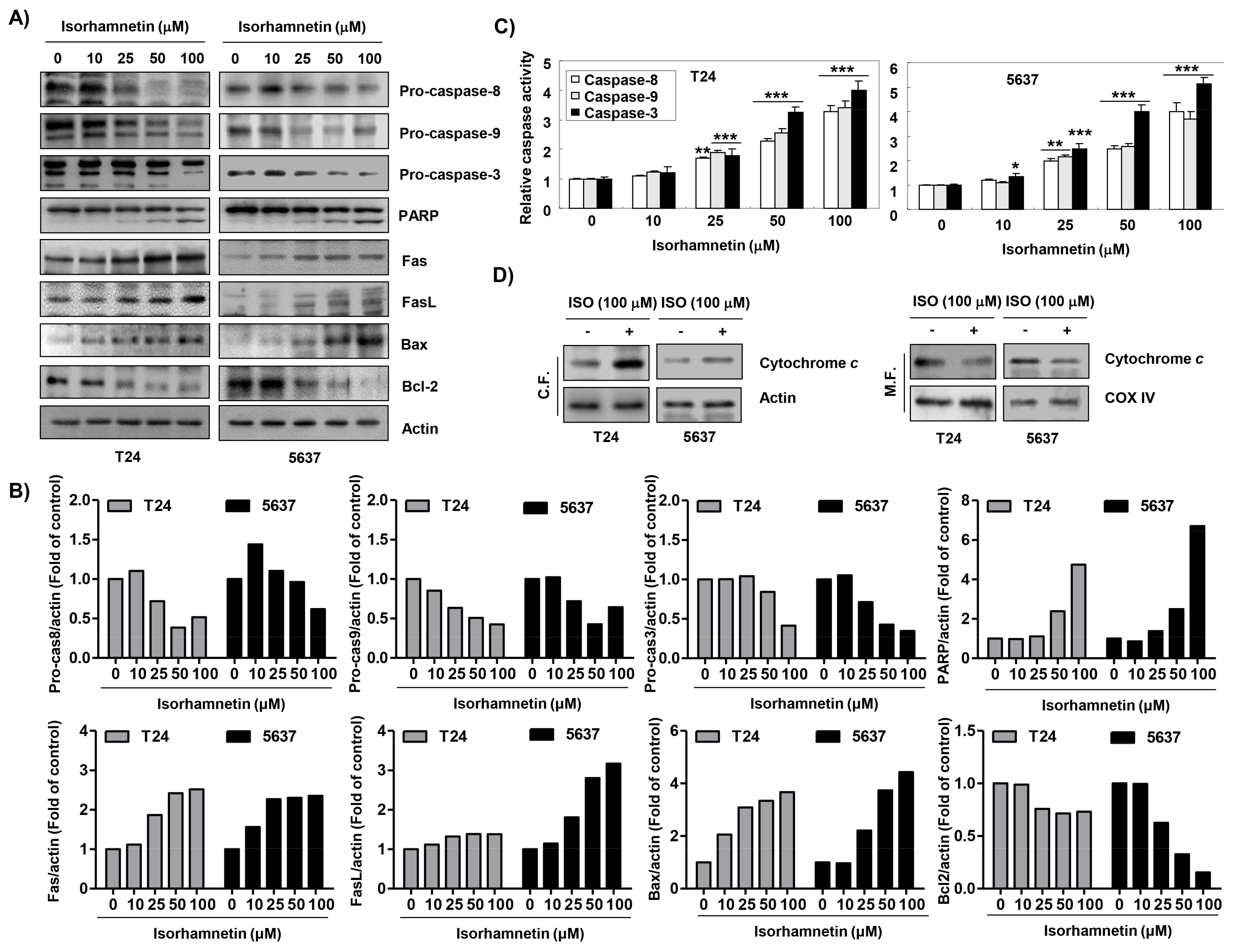 Cancers 11 01494 g004