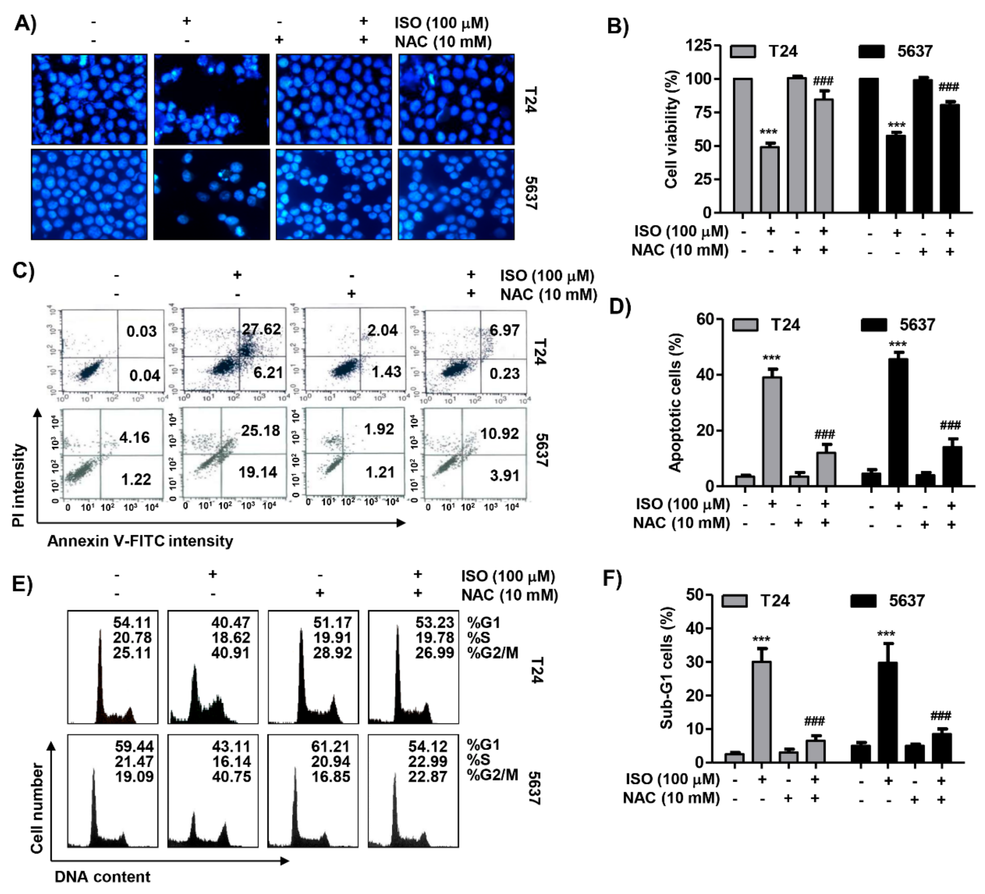 Cancers 11 01494 g007
