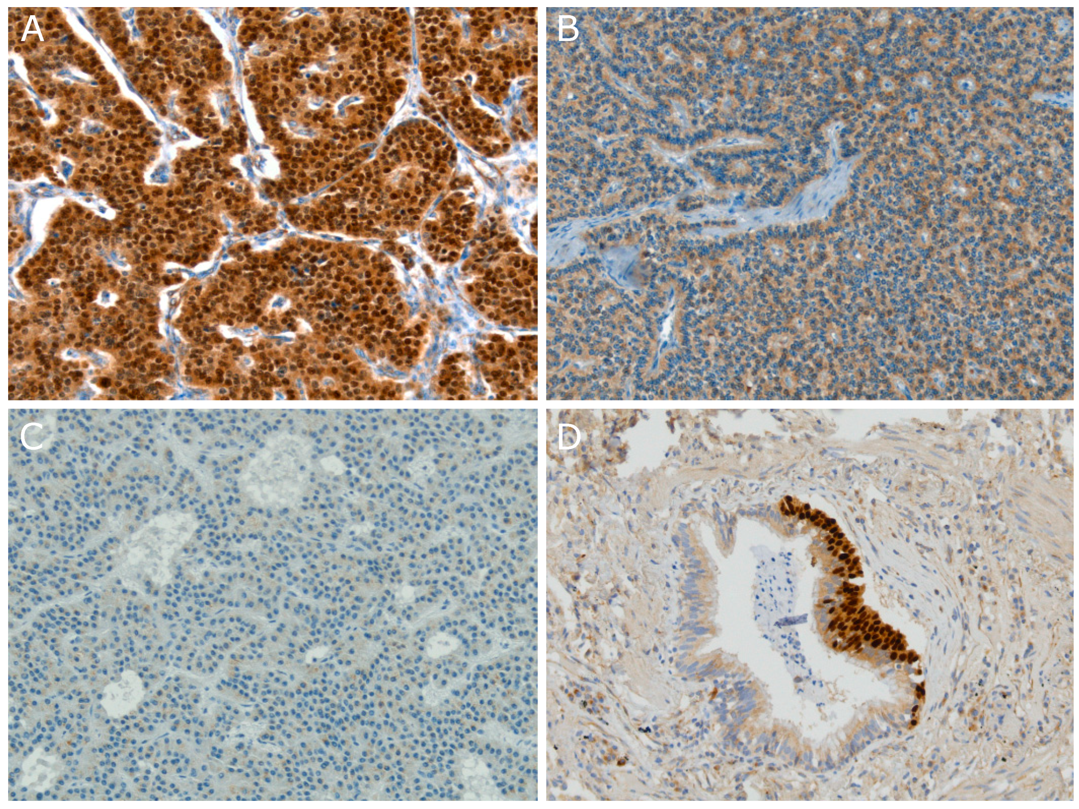 Cancers 11 01508 g001