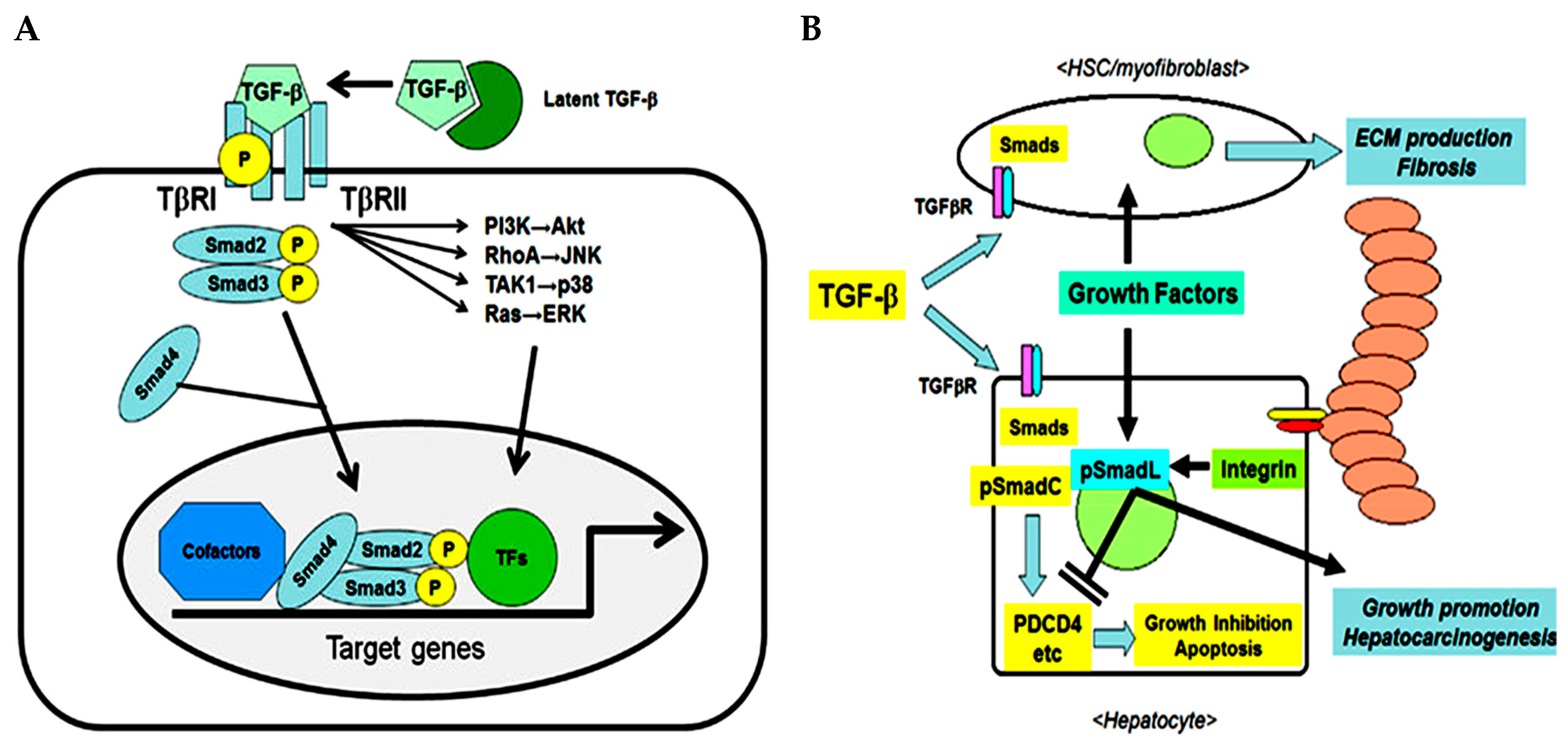 Cancers 11 01510 g001 Cancers 11 01510 g001