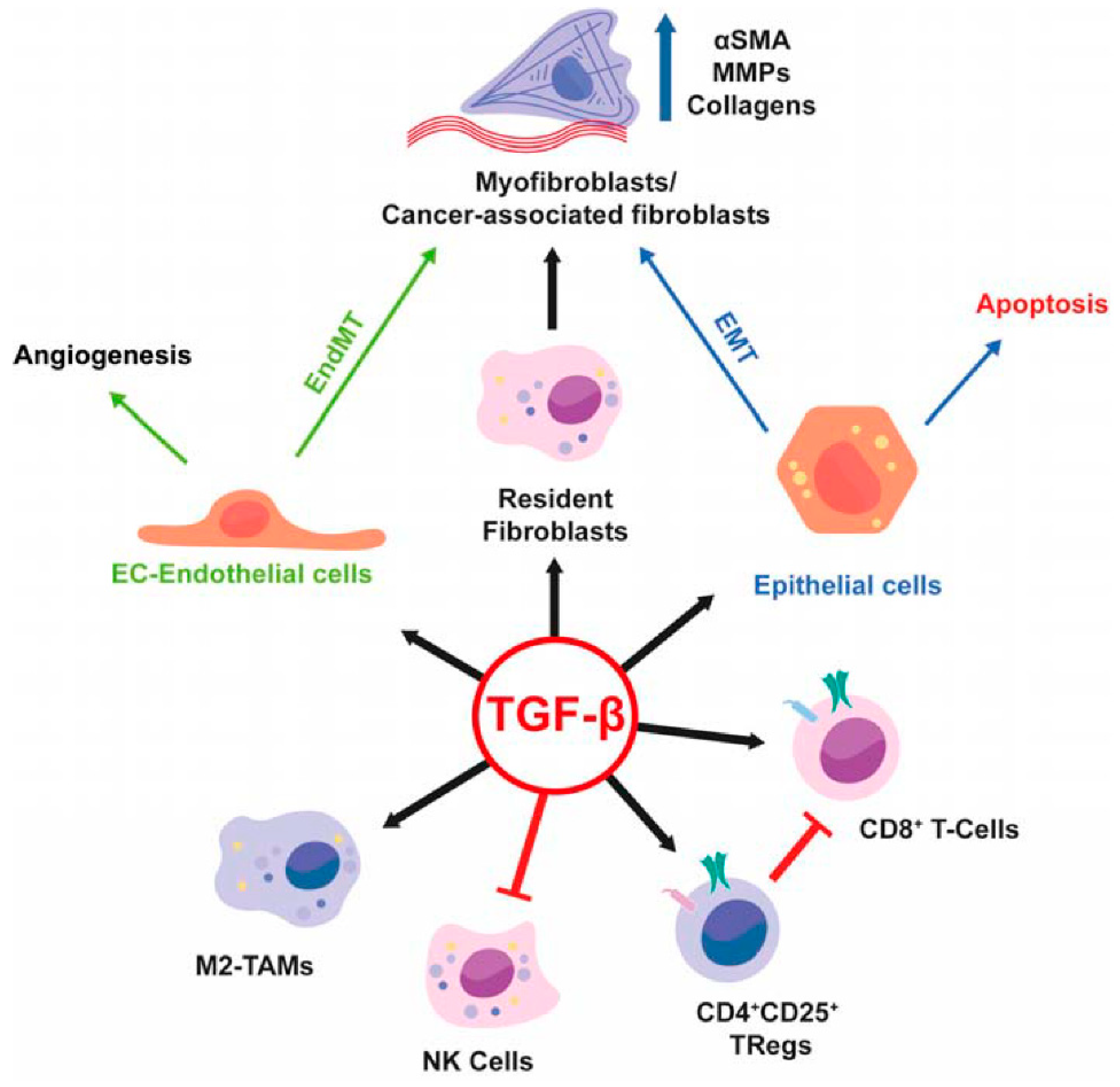 Cancers 11 01510 g002 Cancers 11 01510 g002