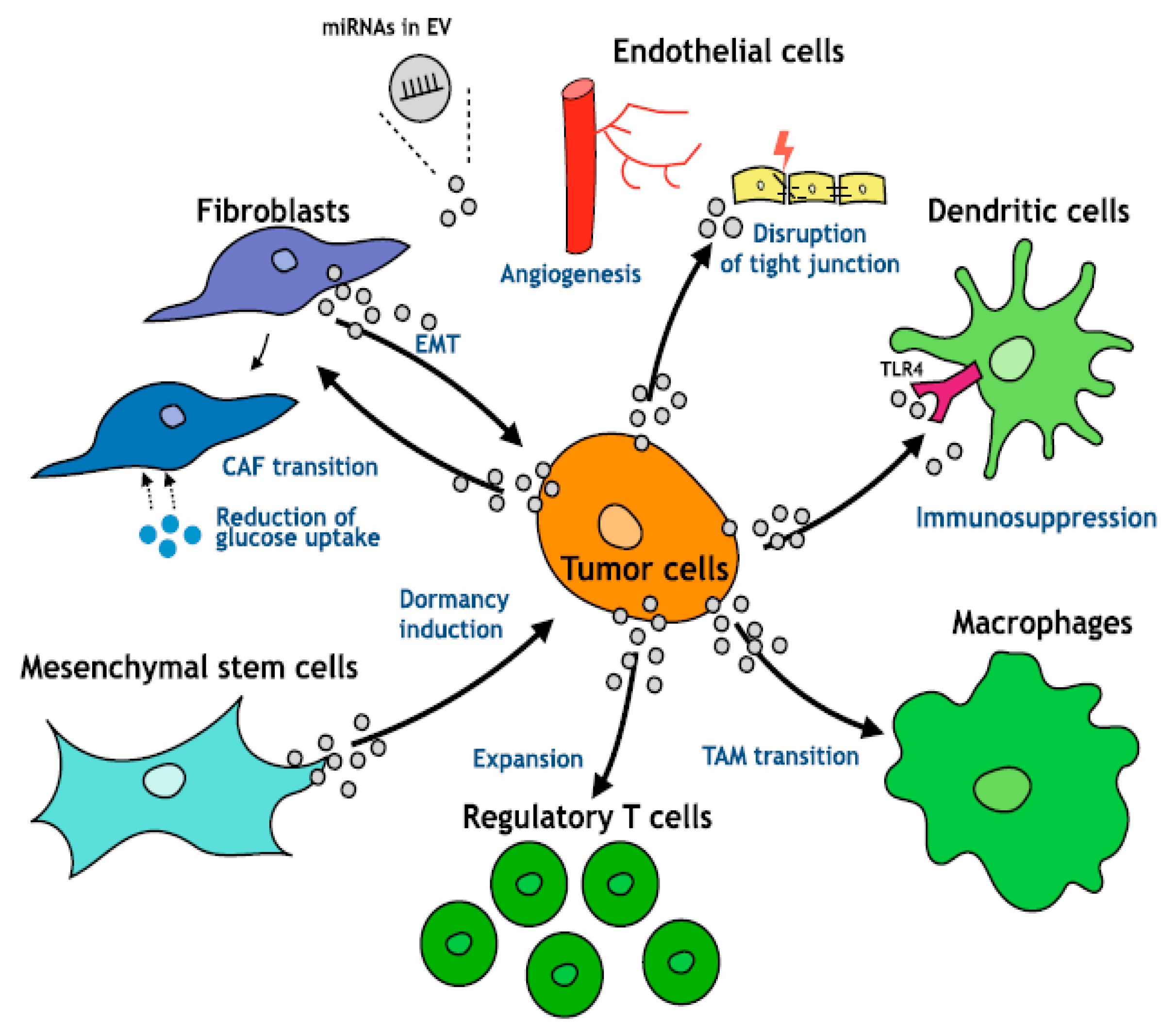 Cancers 11 01510 g006 Cancers 11 01510 g006