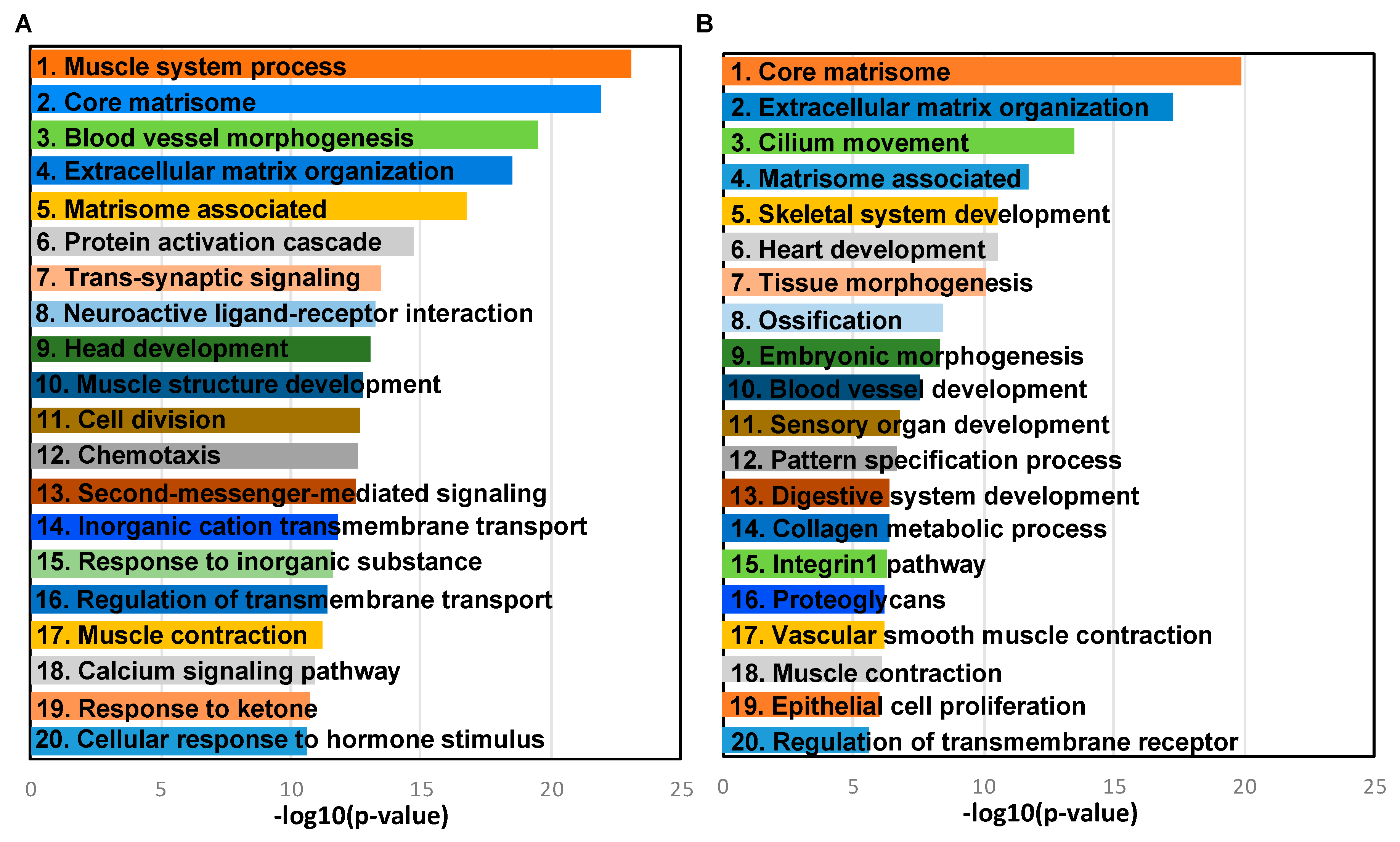 Cancers 11 01513 g003
