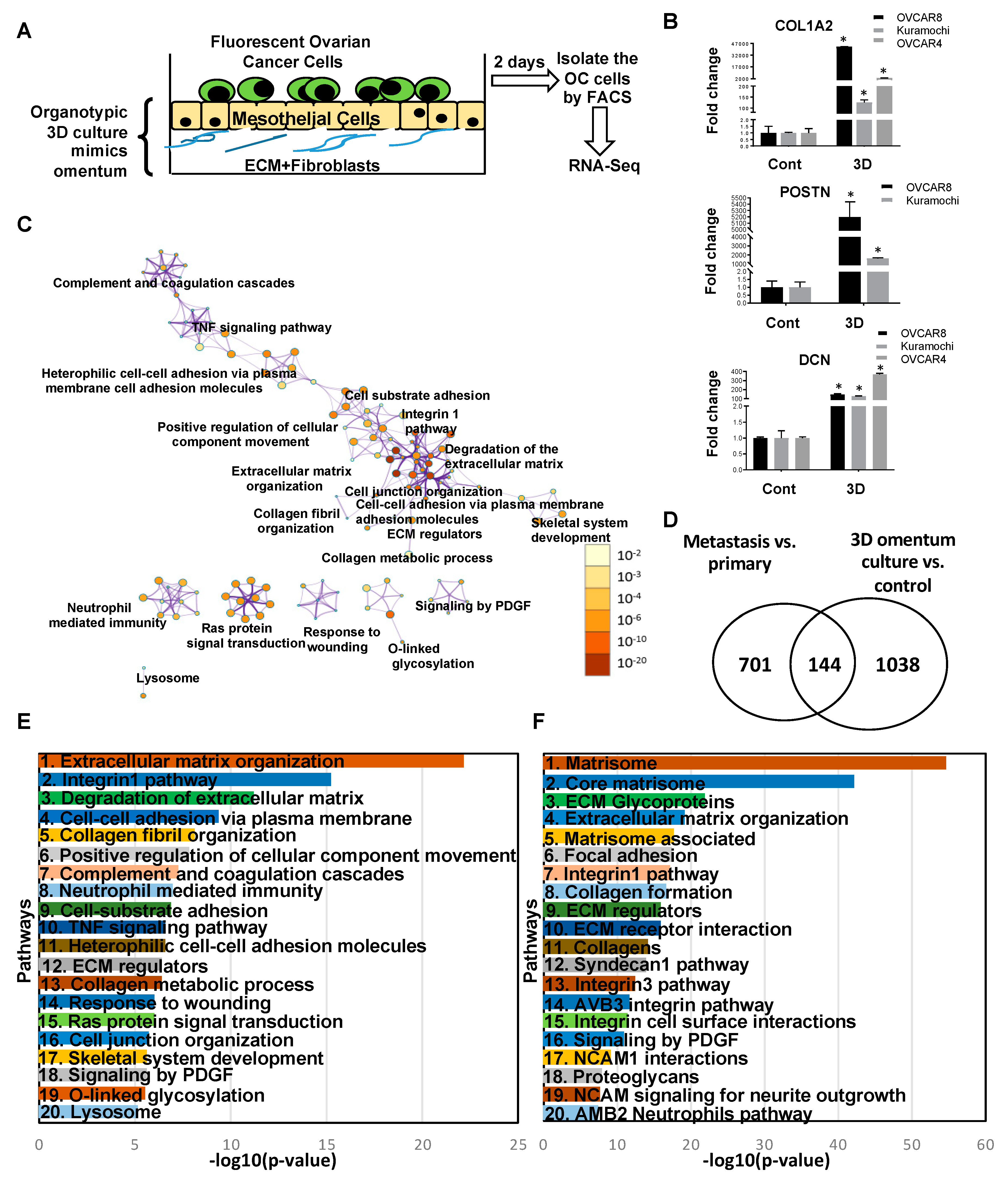 Cancers 11 01513 g007