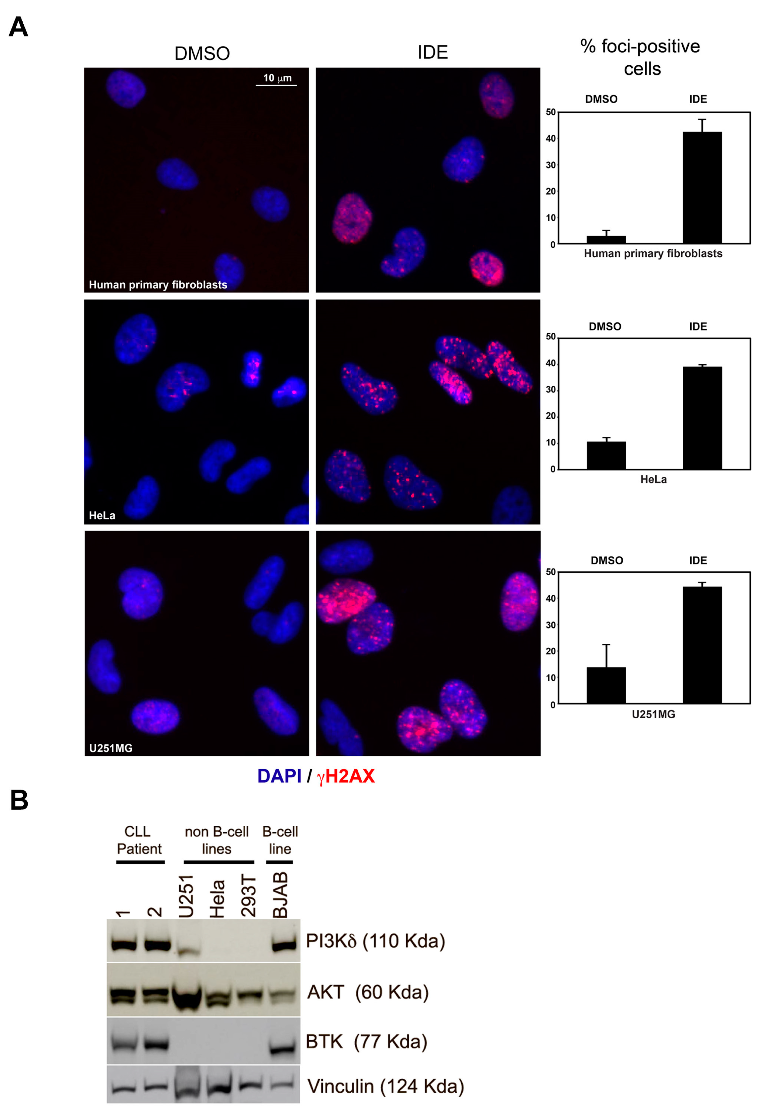 Cancers 11 01519 g005