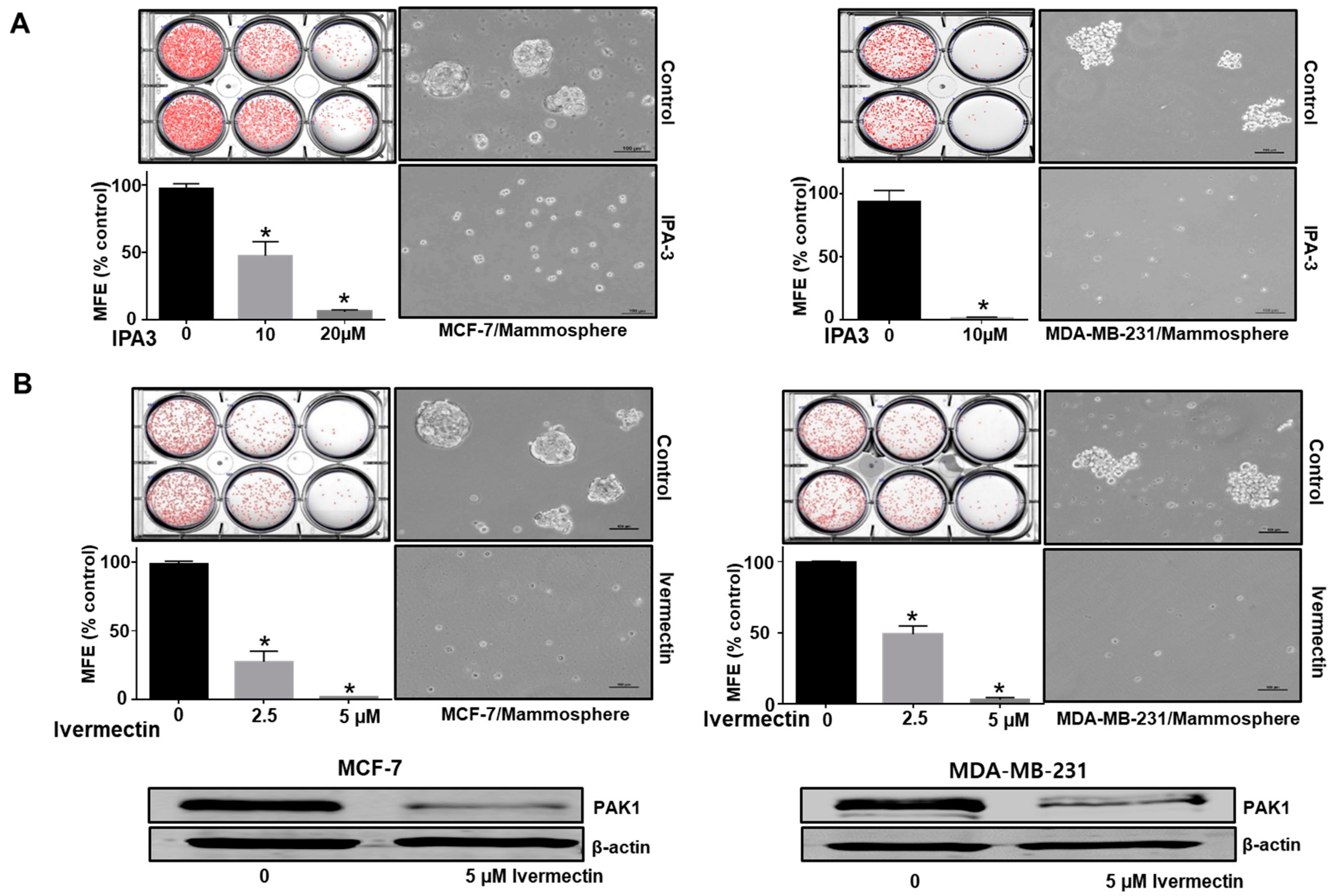 Cancers 11 01527 g003a