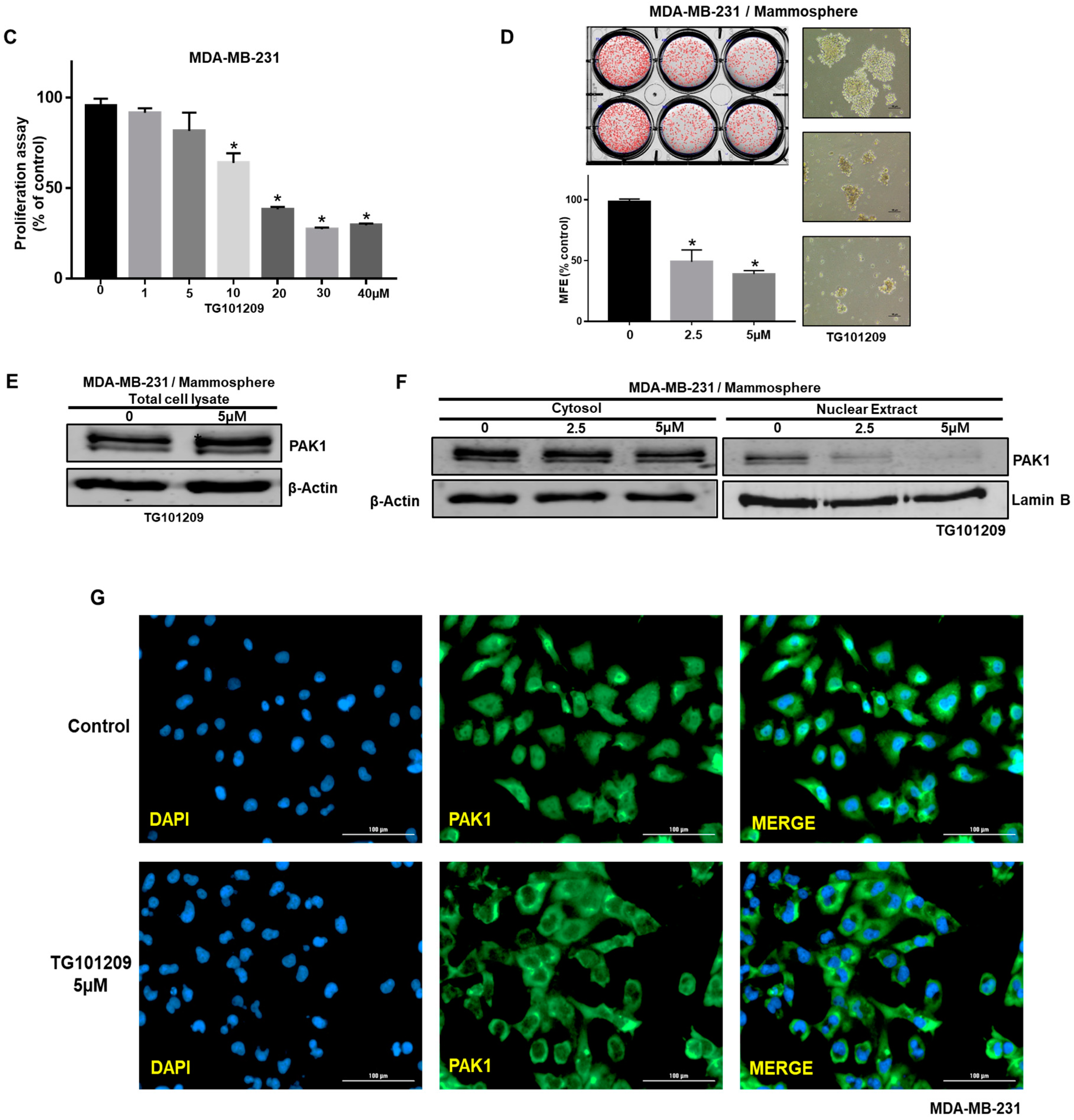 Cancers 11 01527 g004b