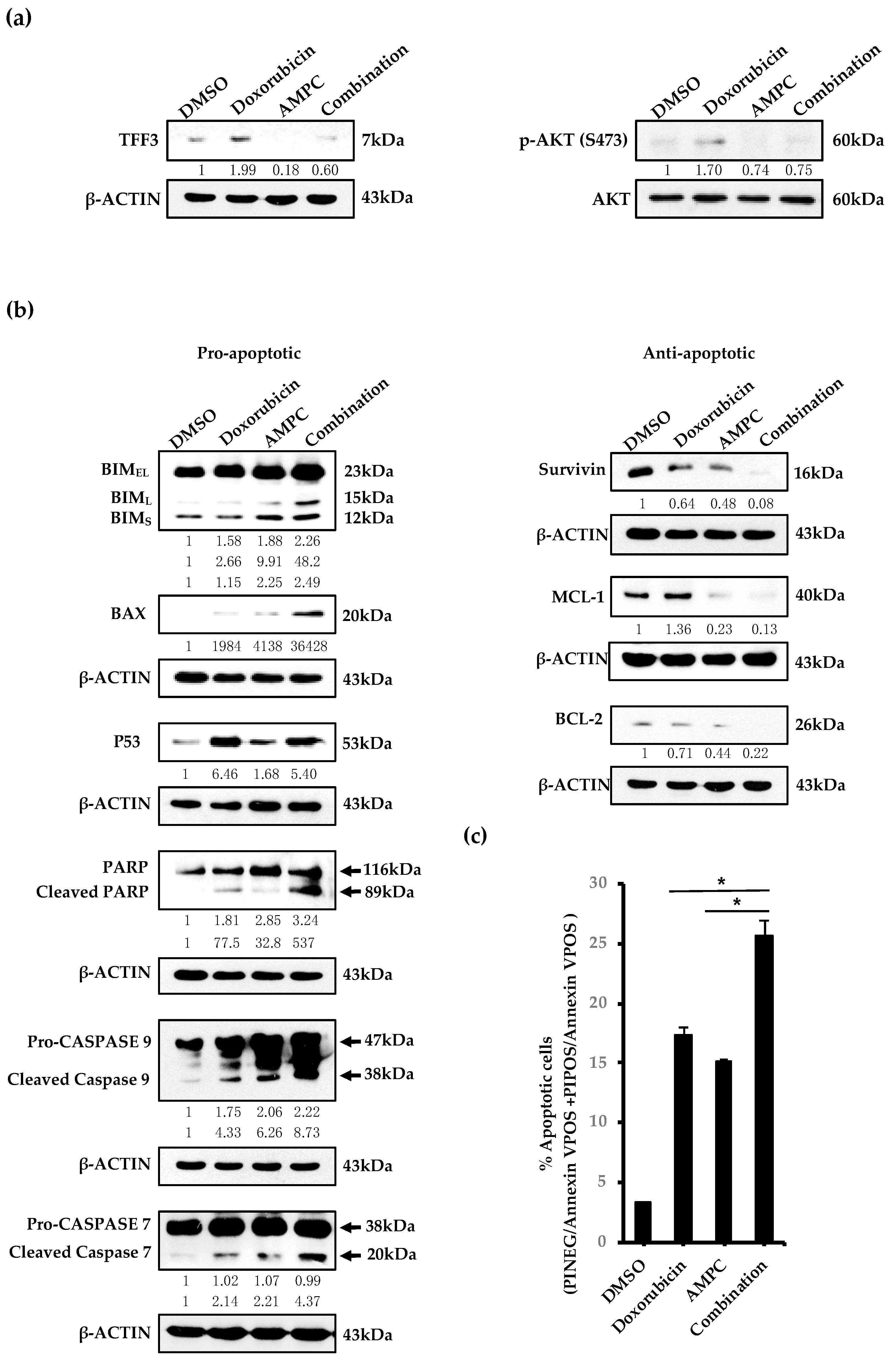 Cancers 11 01528 g003