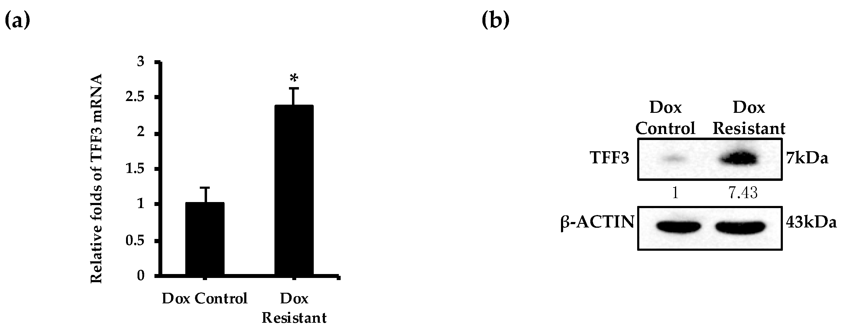 Cancers 11 01528 g004